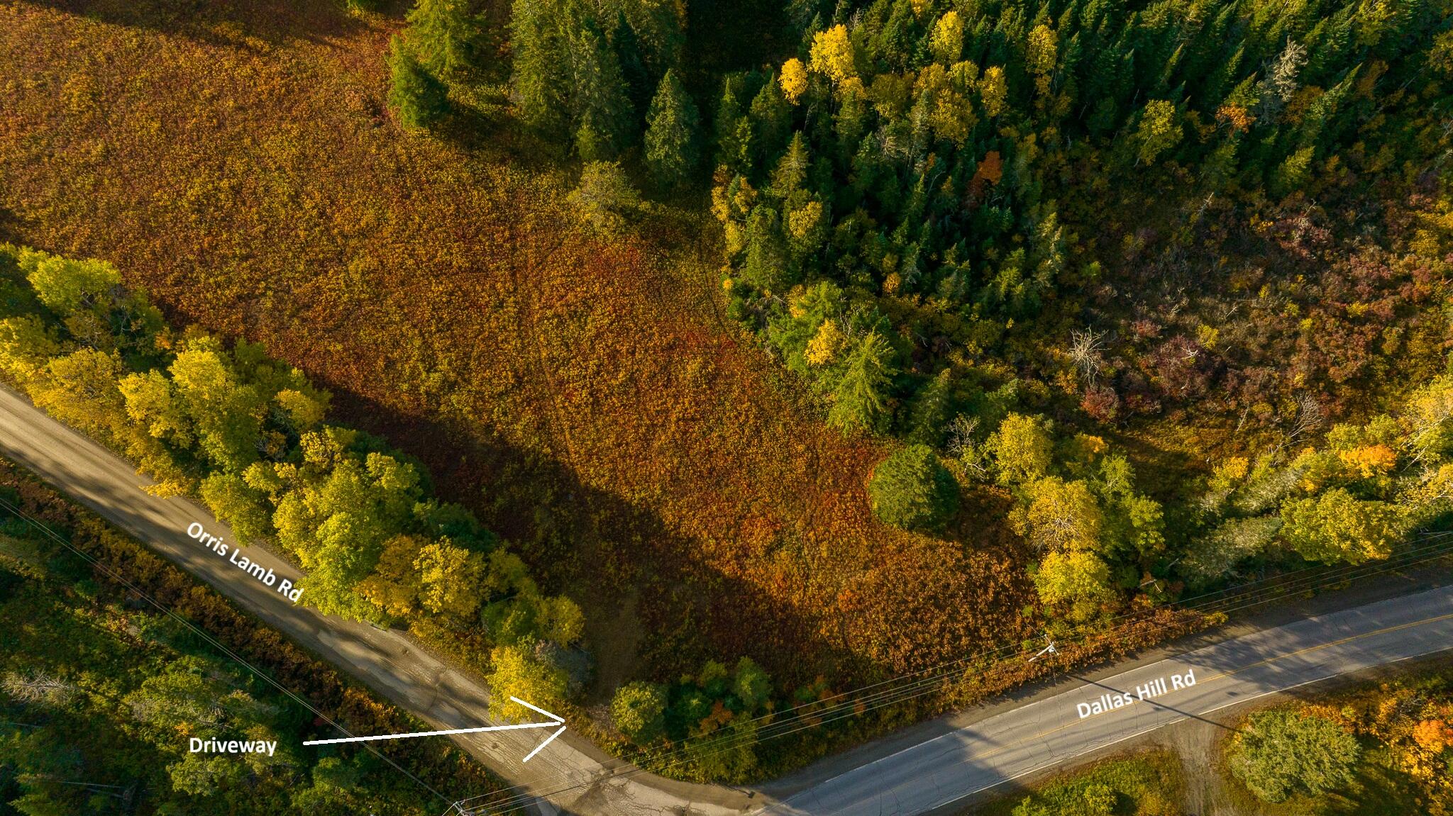 Lot#100 Dallas Hill Road