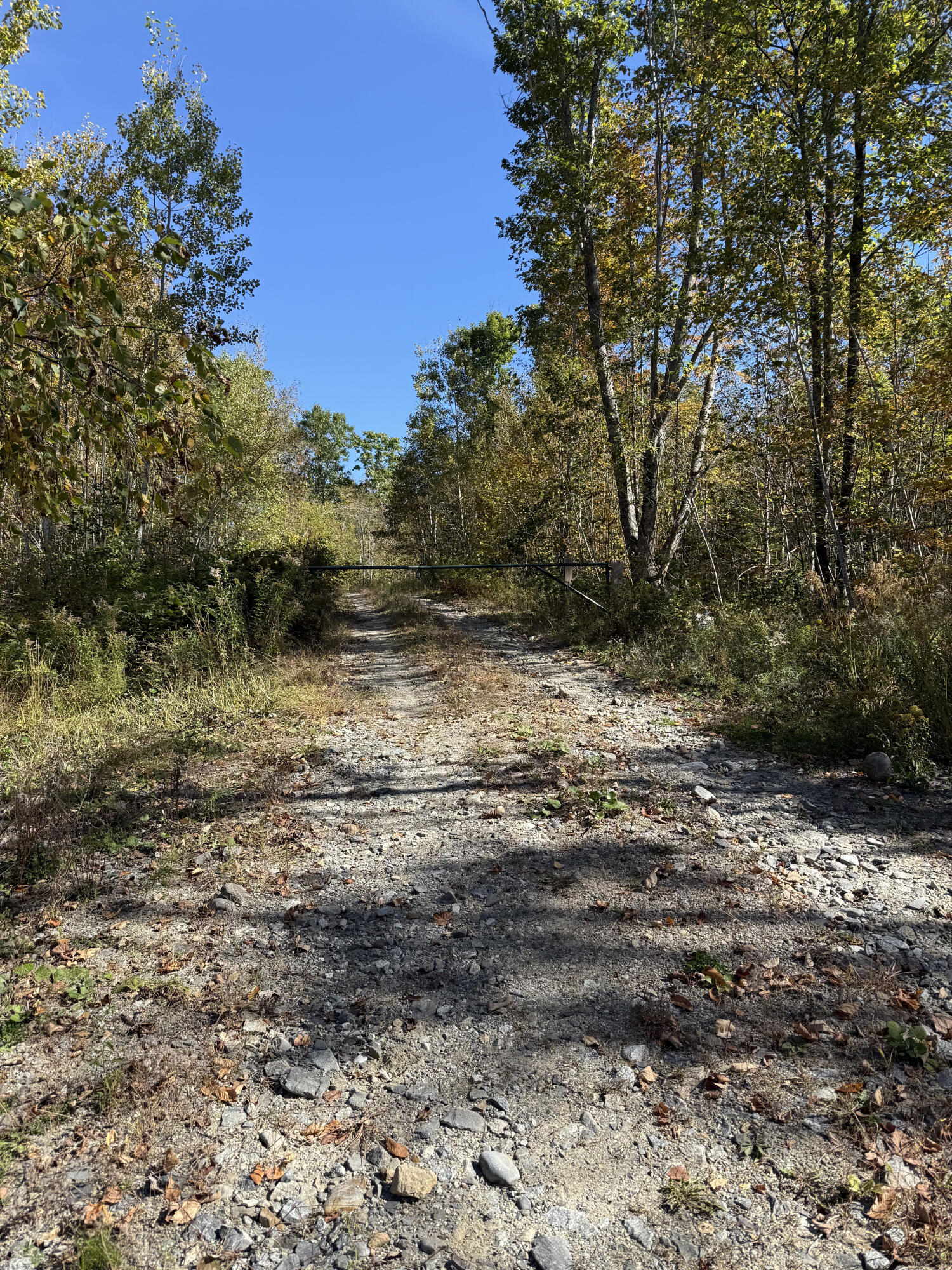 Map 14 Lot 21 Shepard Hill Road
