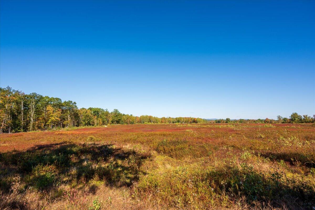 Map 14 Lot 21 Shepard Hill Road