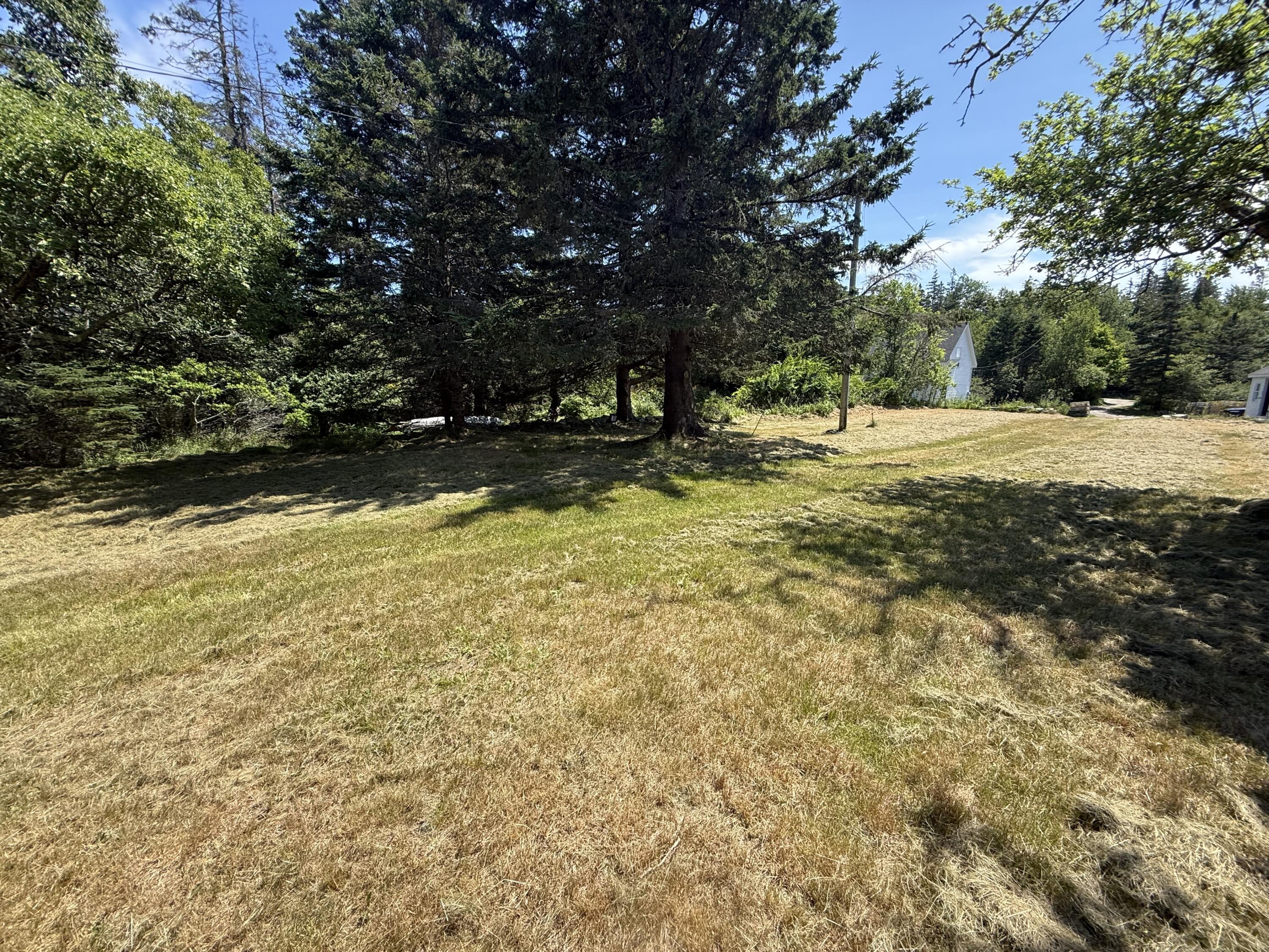 1013 Hummingbird Lane