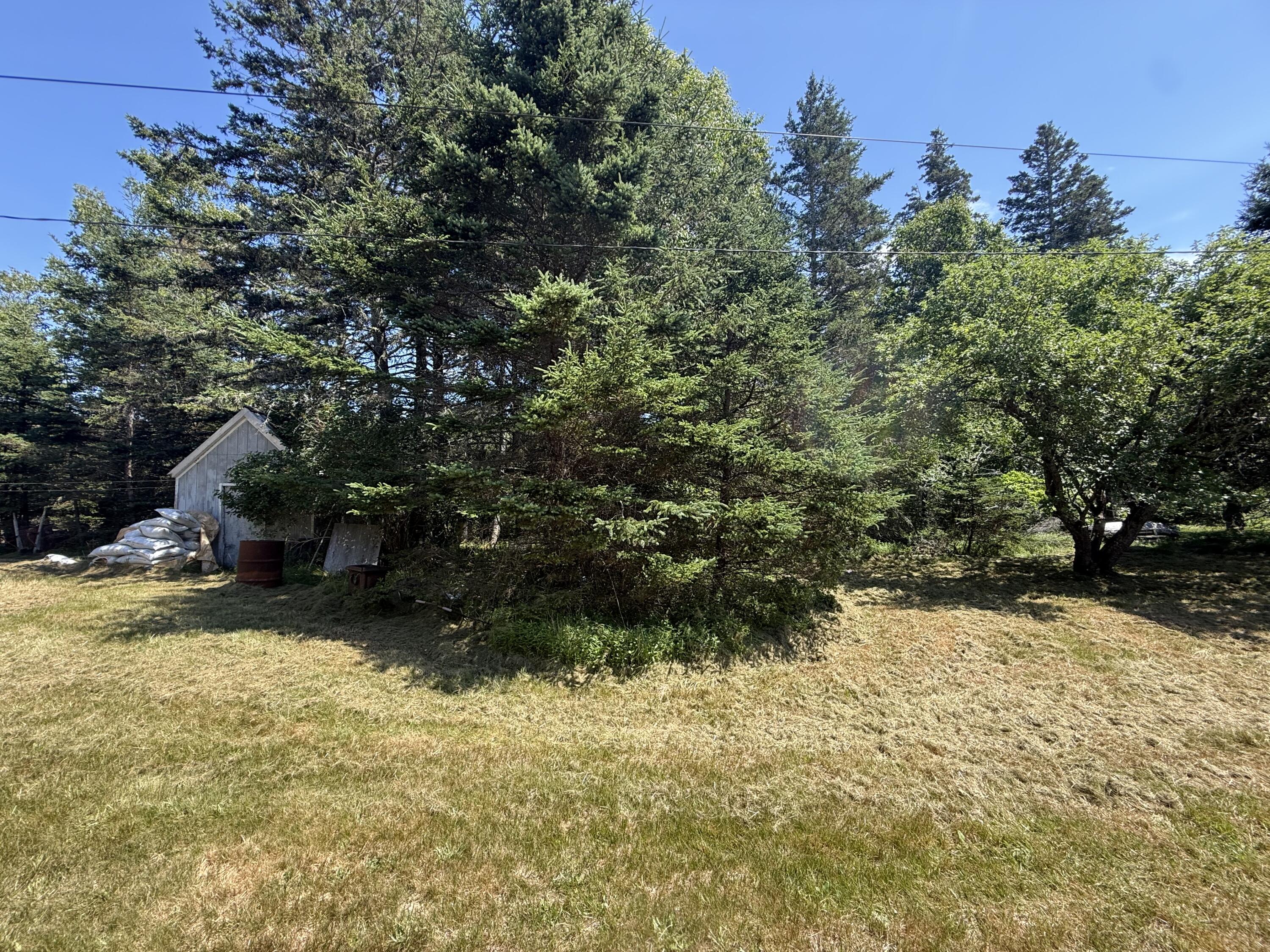 1013 Hummingbird Lane