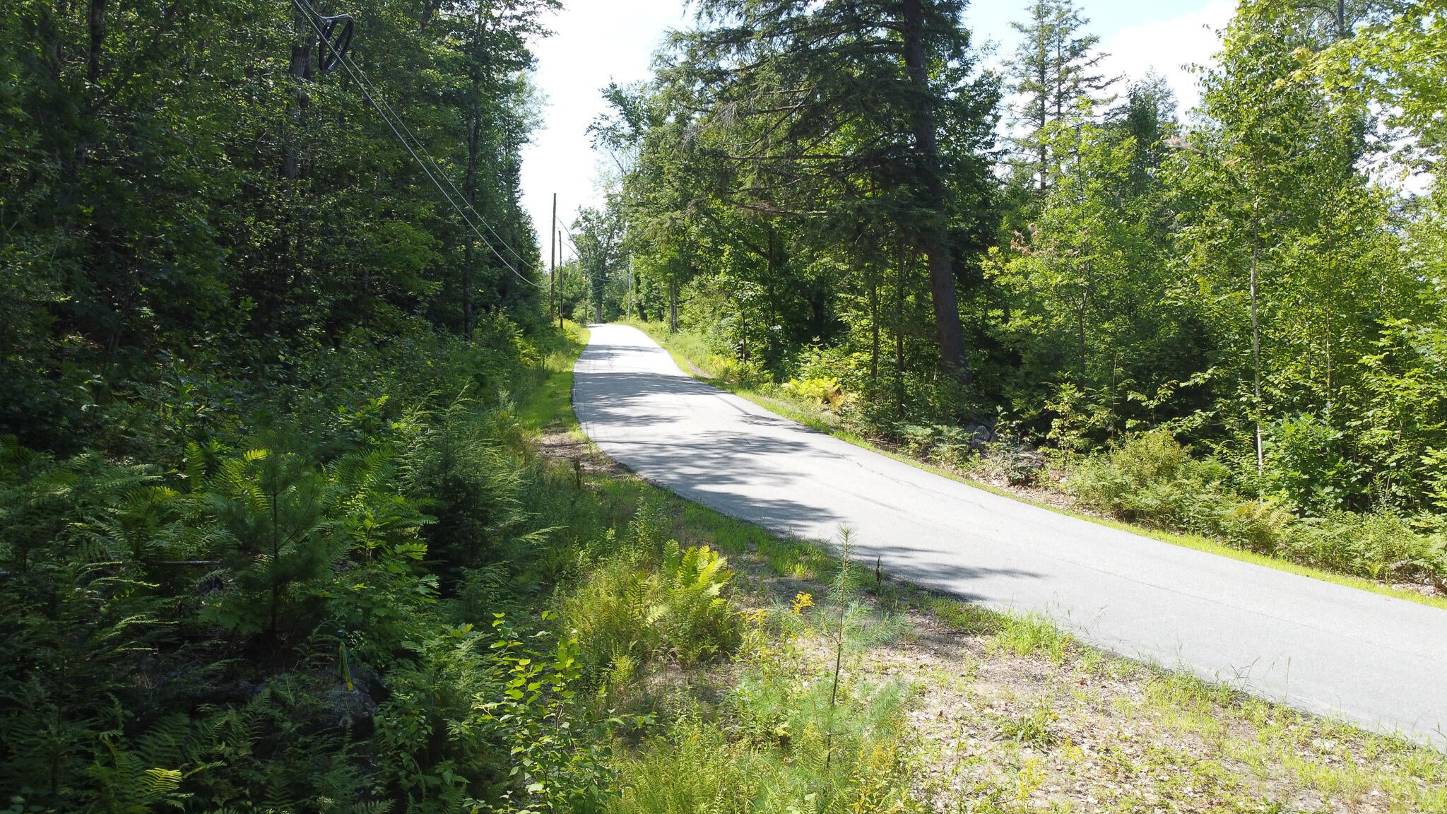 L52B & 52C Off Gammon Road