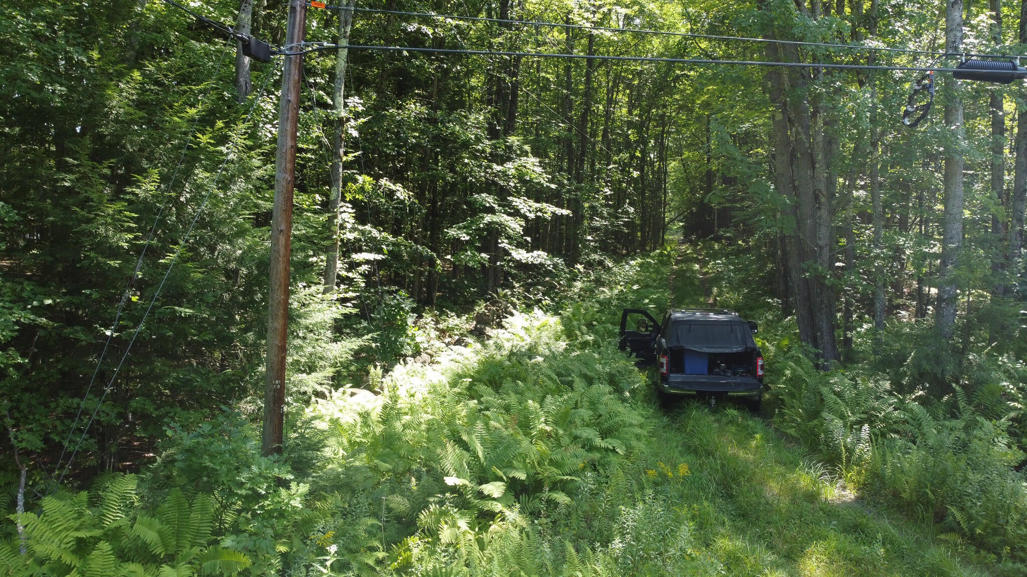 L52B & 52C Off Gammon Road