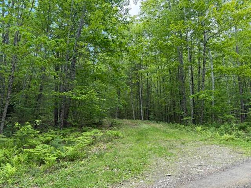 Photo of 0 Sky High Drive, Jefferson, ME 04348 (MLS # 1664897)