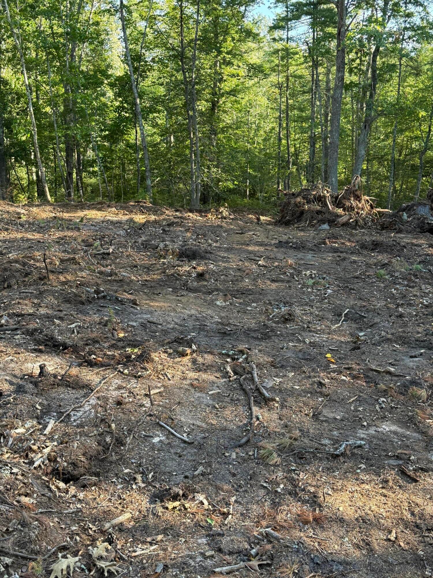 Lot D Ogunquit Road