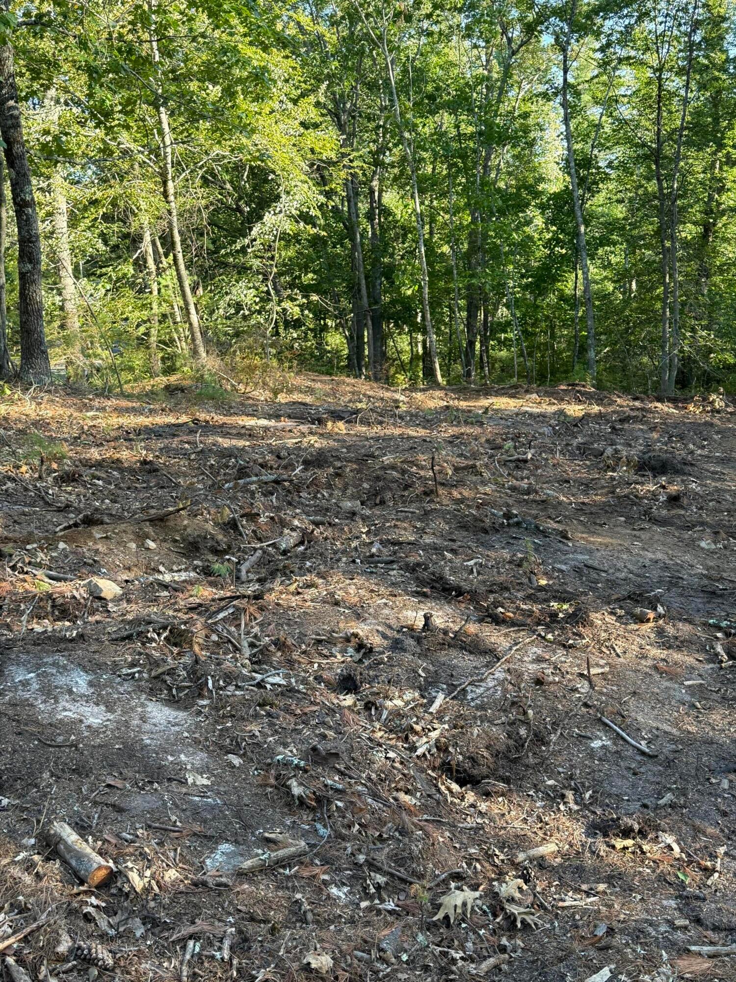 Lot D Ogunquit Road