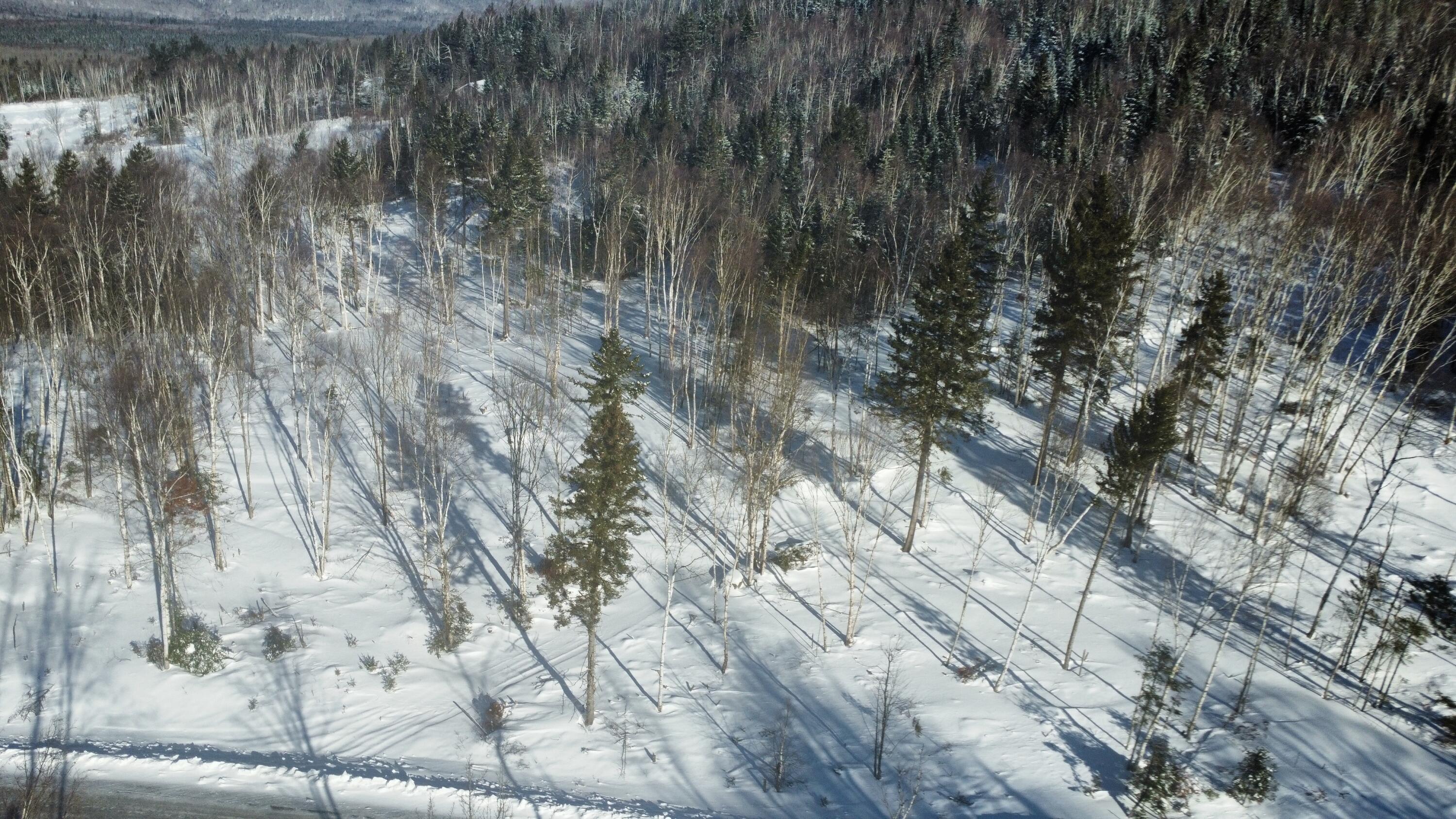 Lot 83 Johnson Lane