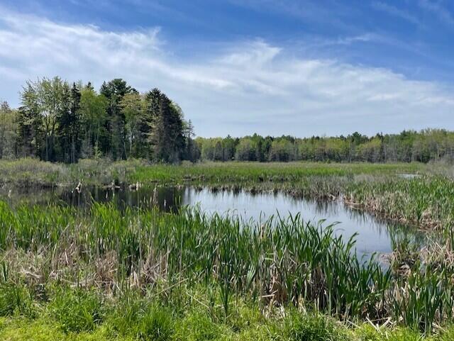 Photo of 16 Woody Lane, Cushing, ME 04563 (MLS # 1666651)
