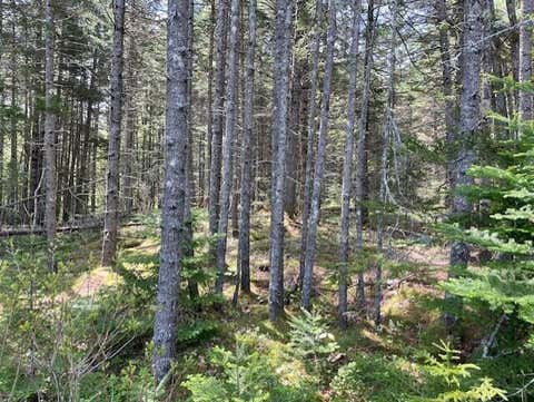 Photo of 16 Woody Lane Lane, Cushing, ME 04563 (MLS # 1666651)