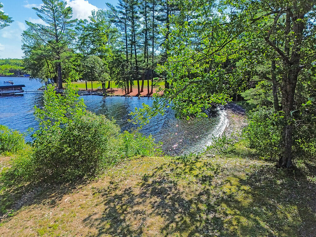 41 Milkweed Lane