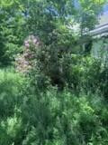 1769 Washington Road