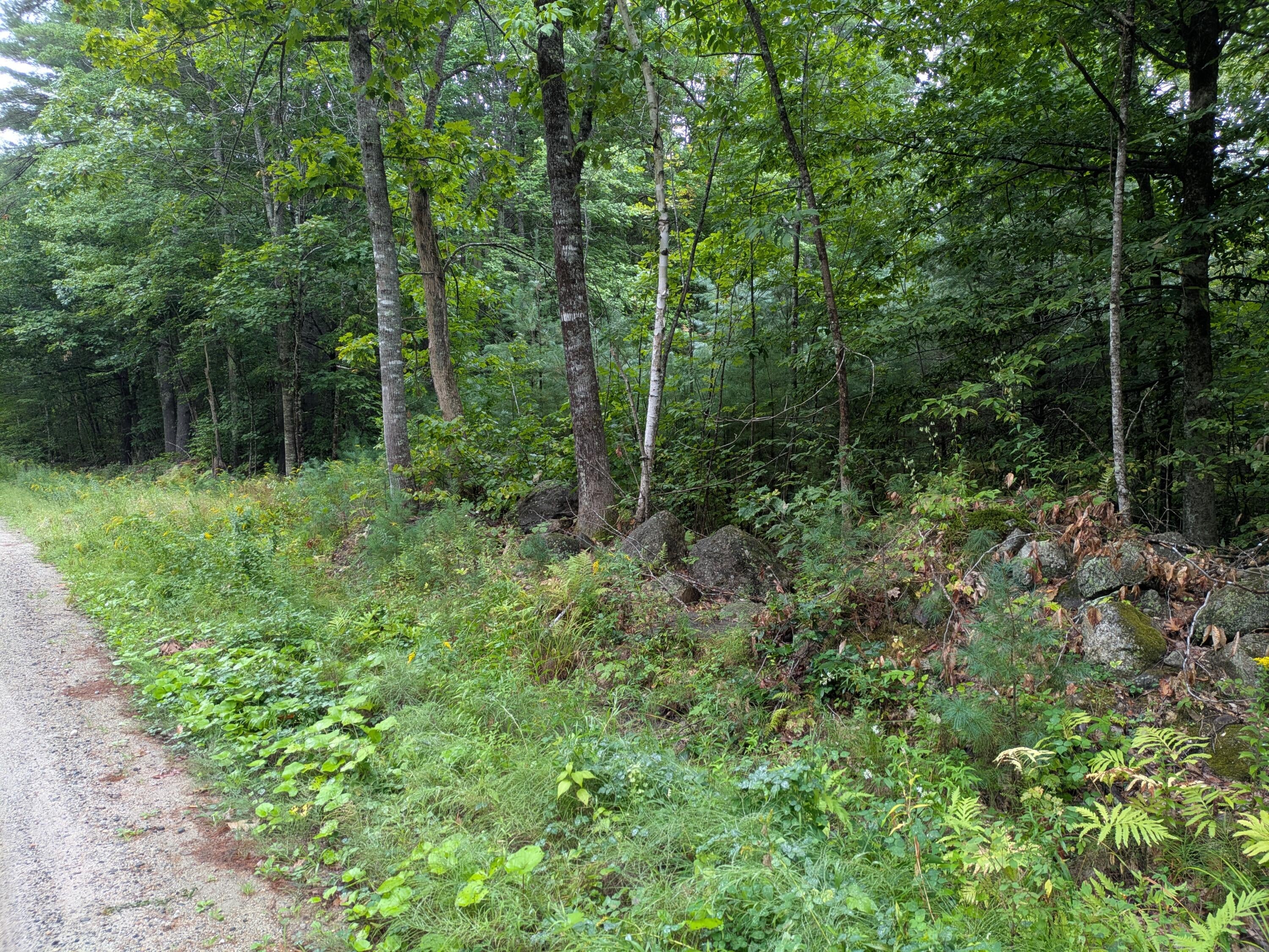 135 Old Country Way