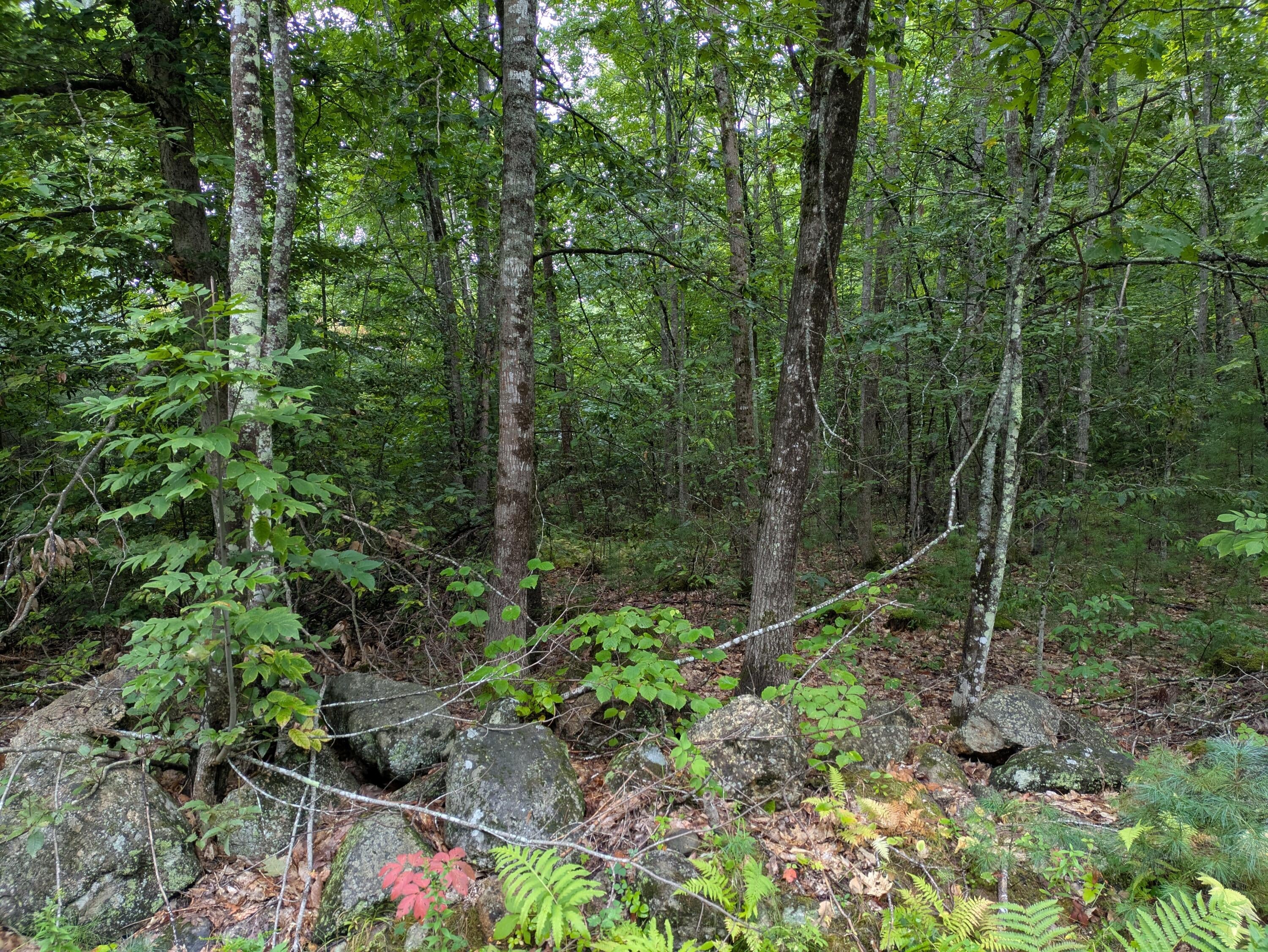 135 Old Country Way