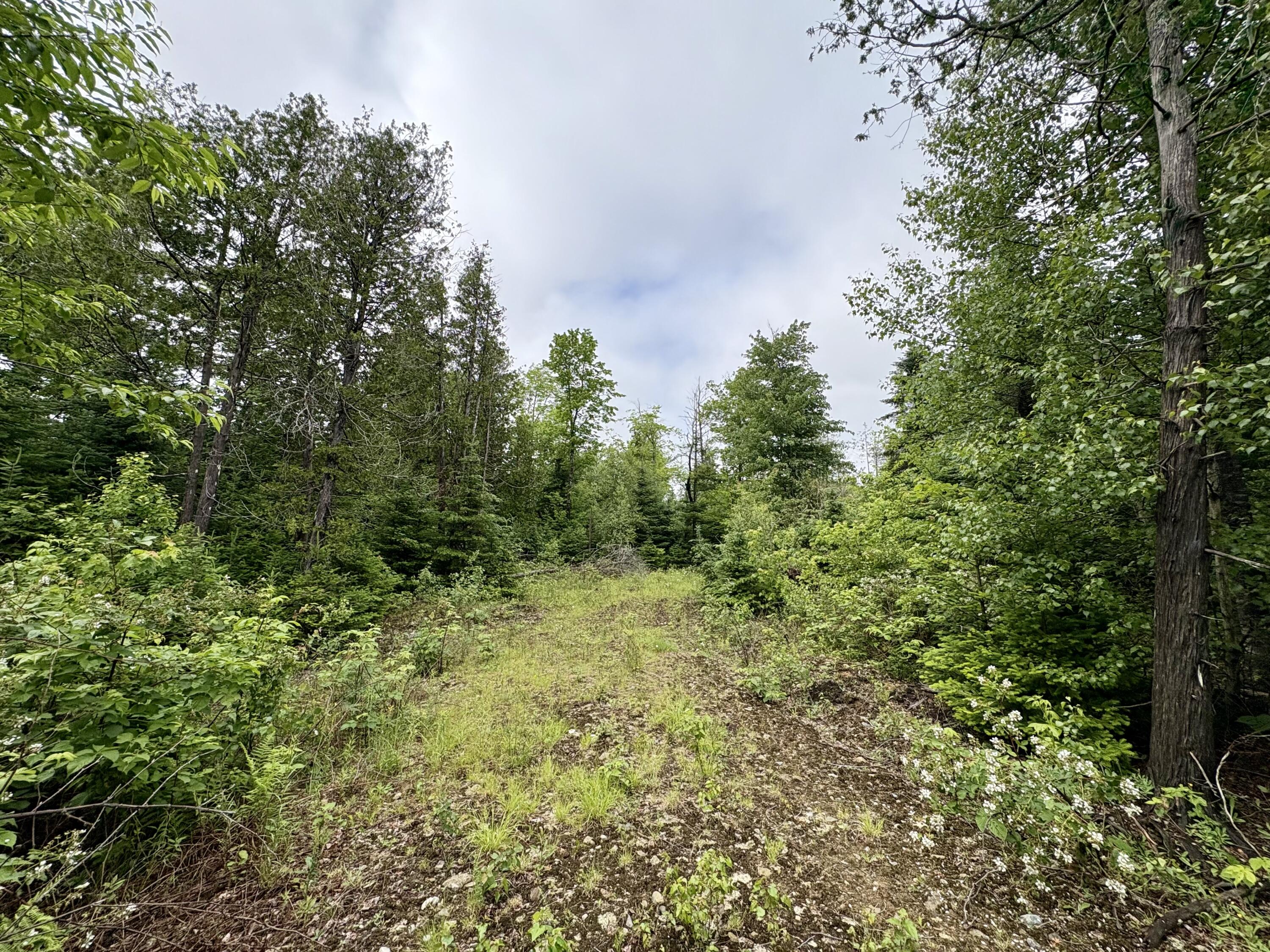 Lot 2 Mt. Jefferson Heights