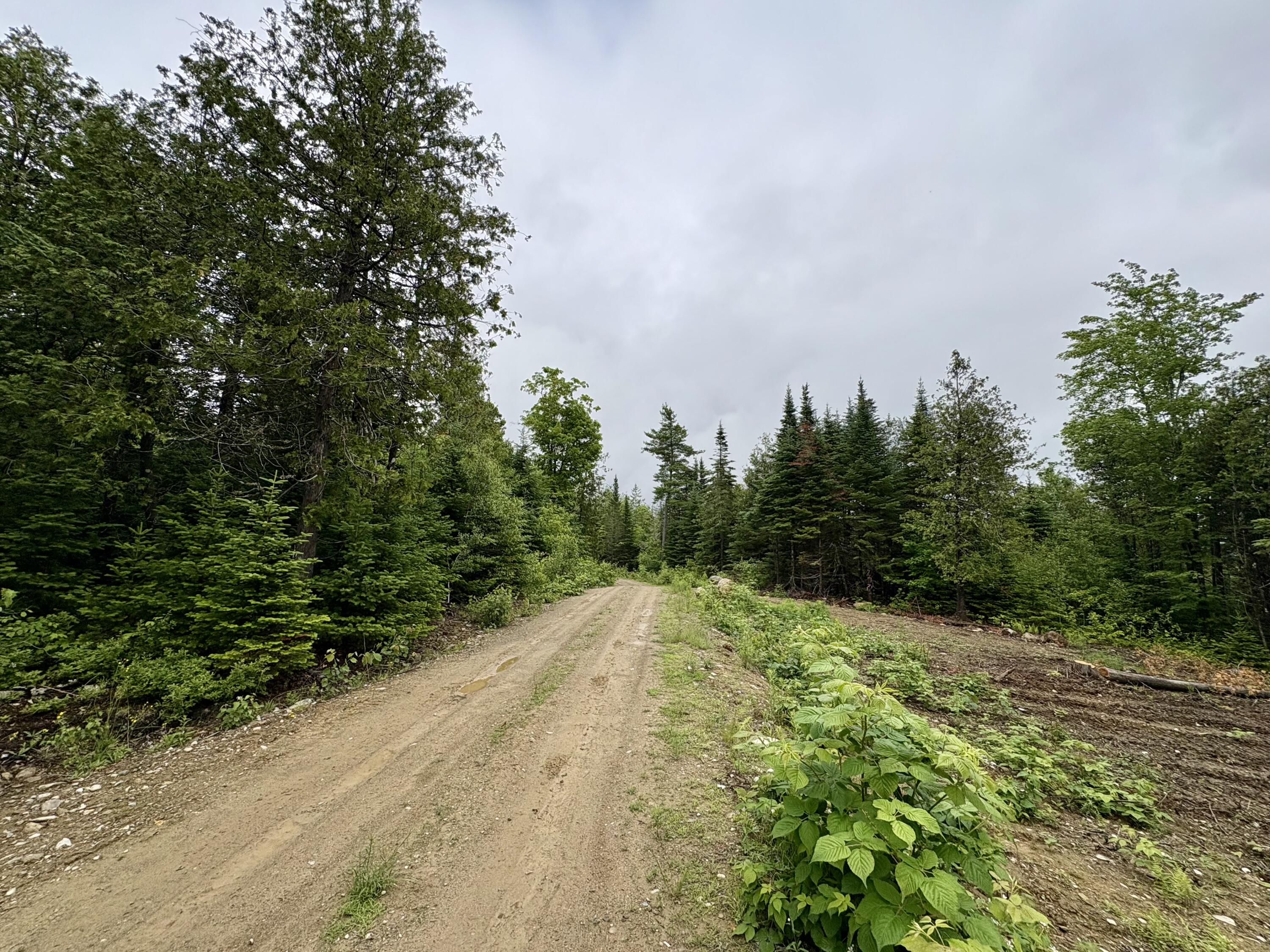 Lot 2 Mt. Jefferson Heights