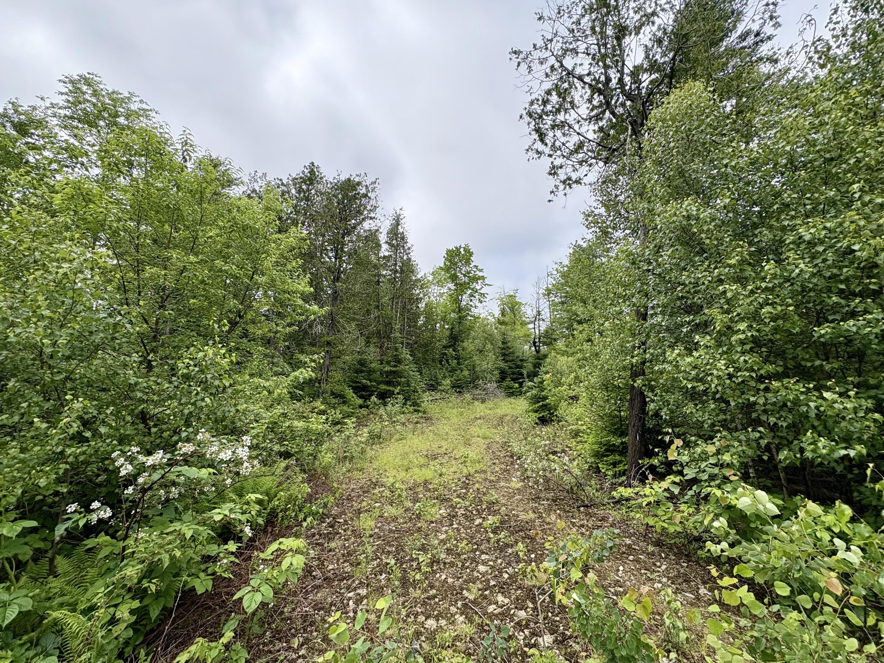 Lot 2 Mt. Jefferson Heights