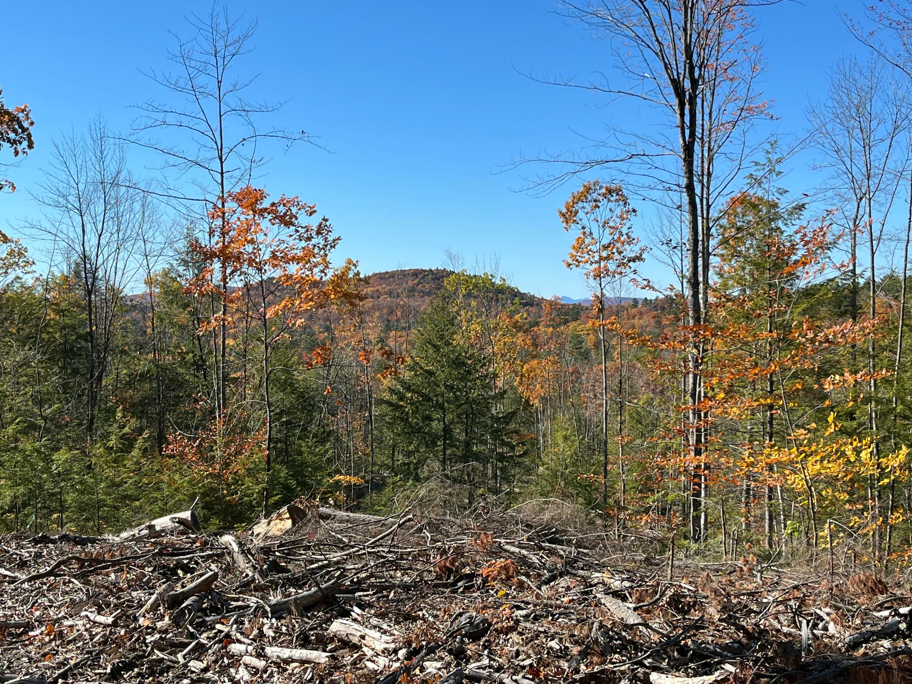 0 Dyke Mountain Road