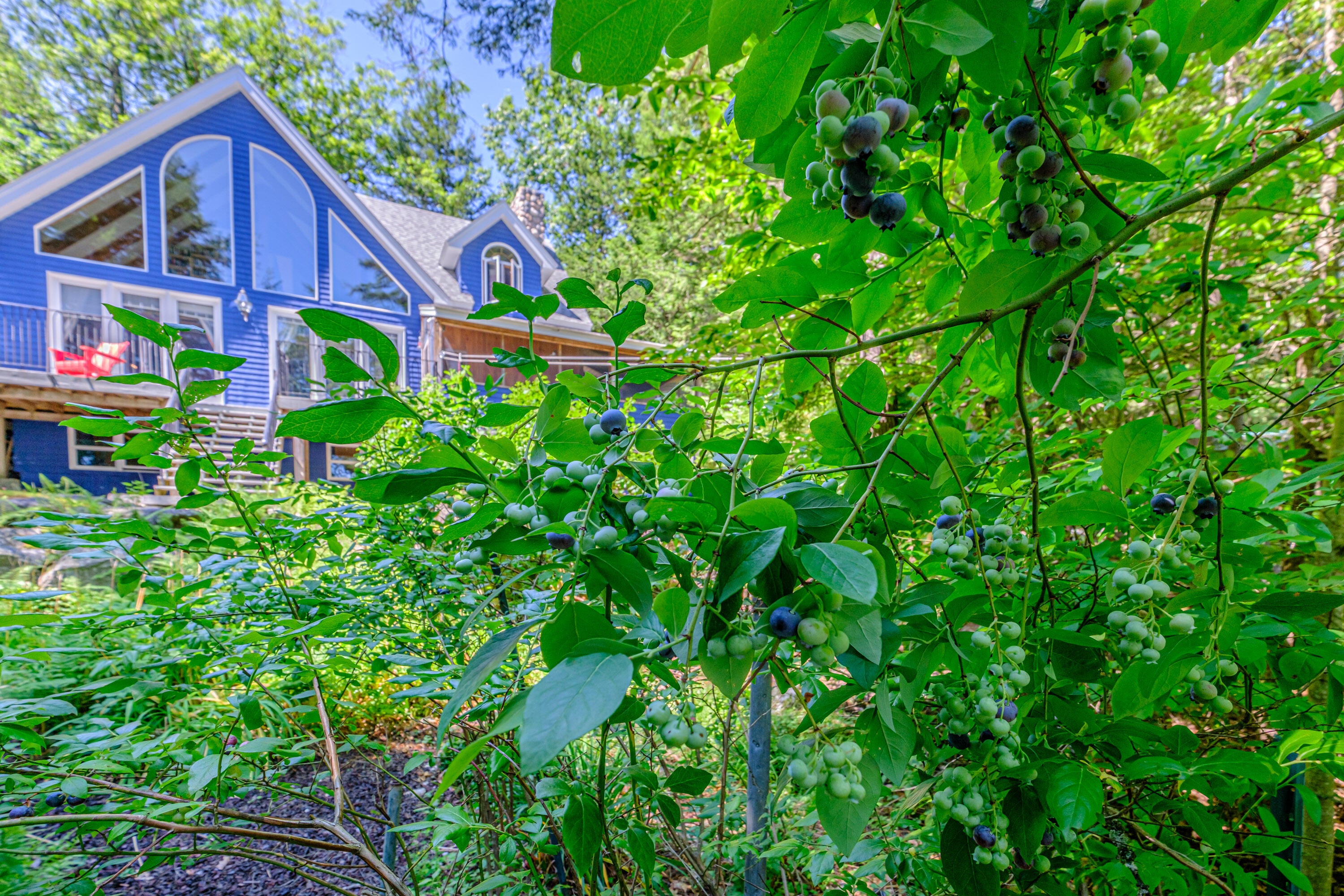 95 Valhalla Lane