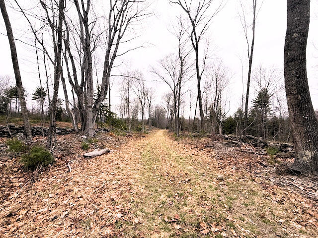 Map R2 Lot 53 Cape Road