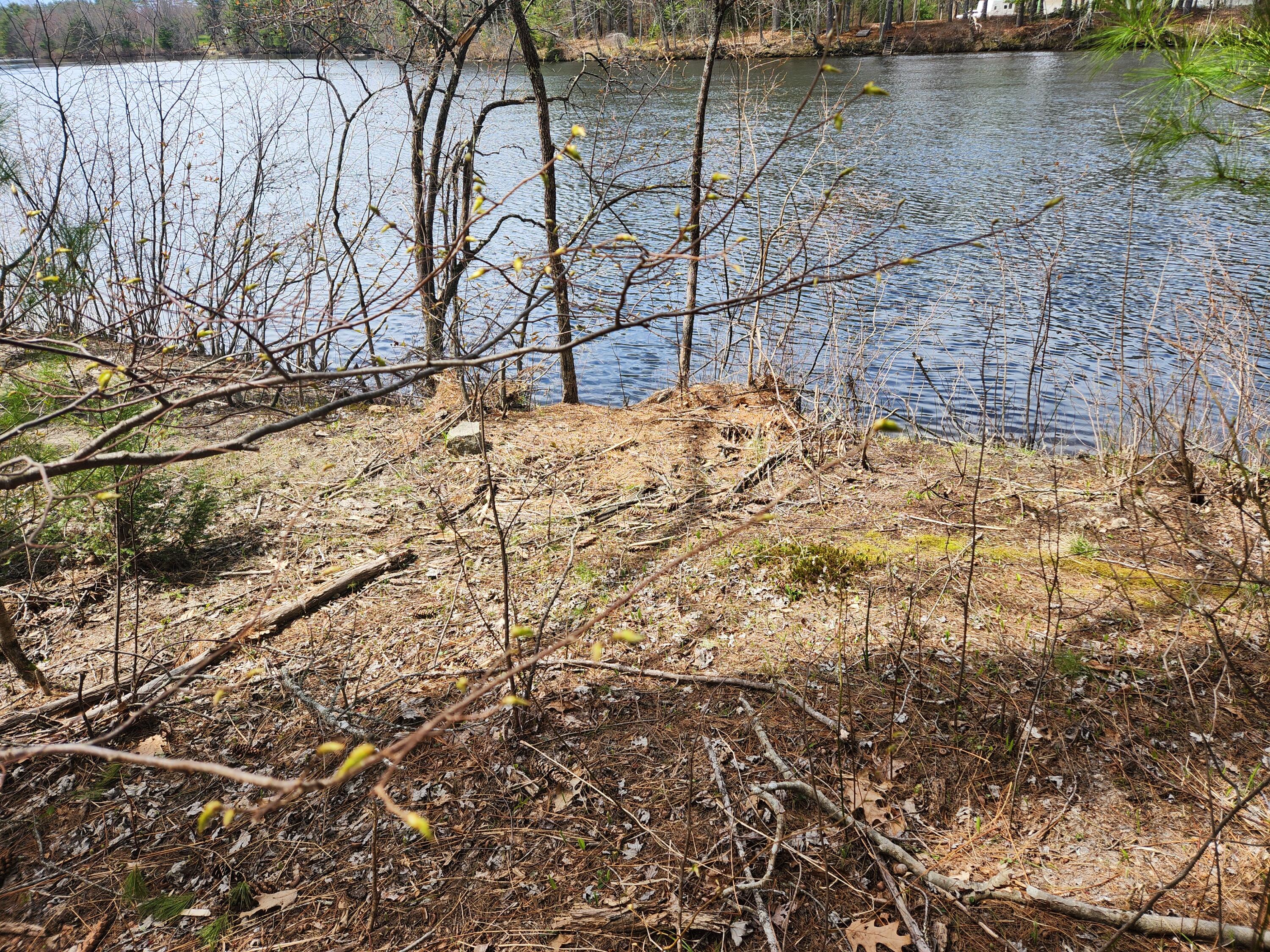 955 Ossipee Trail W