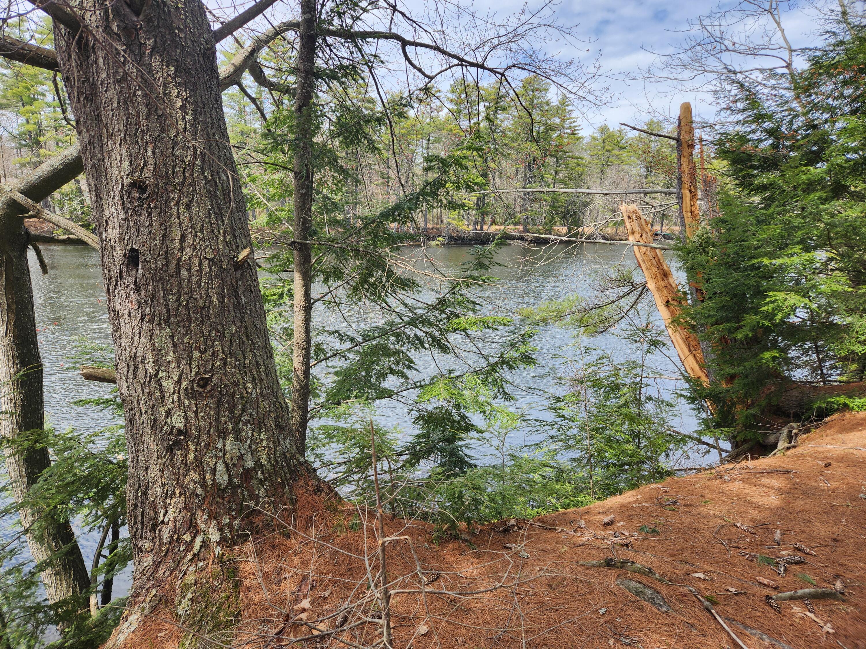 955 Ossipee Trail W