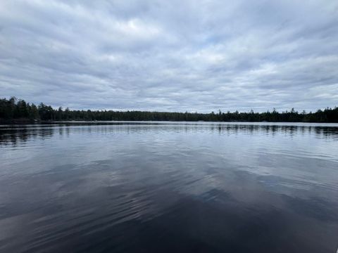 Photo of 279 Carry Ridge Road, Northfield, ME 04654 (MLS # 1661898)