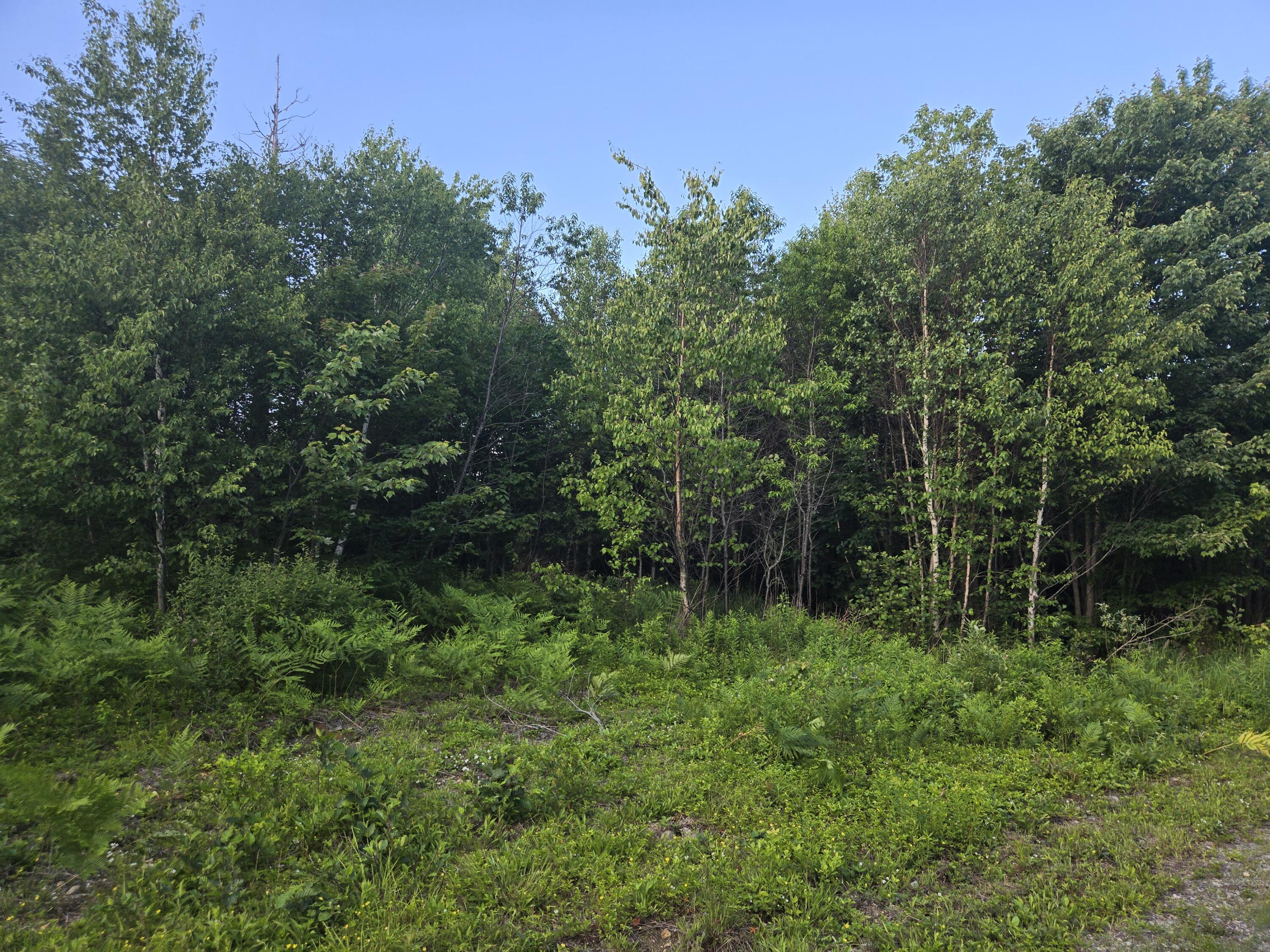 27B6/17/24 Dixie Rd