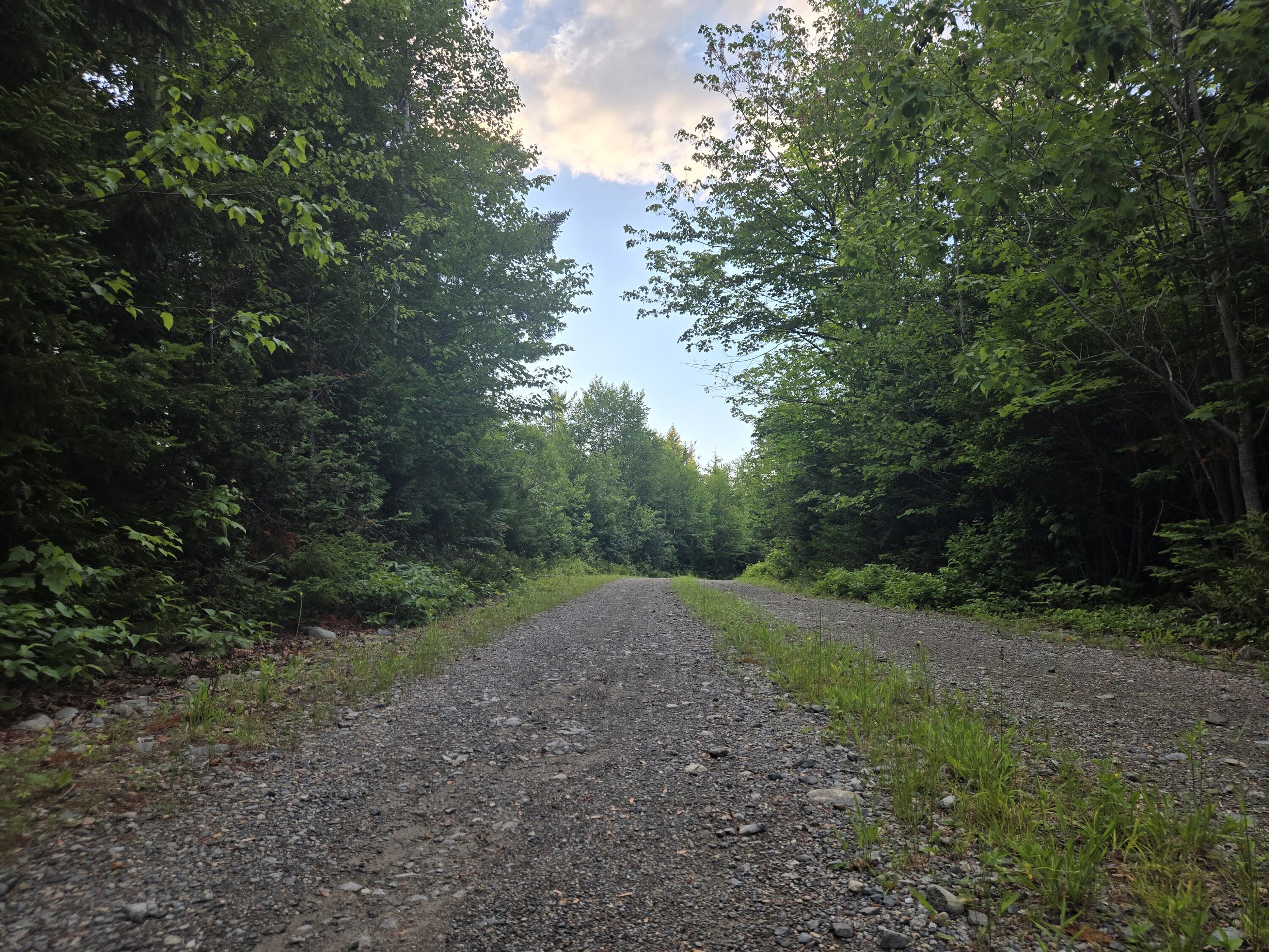 27B6/17/24 Dixie Rd