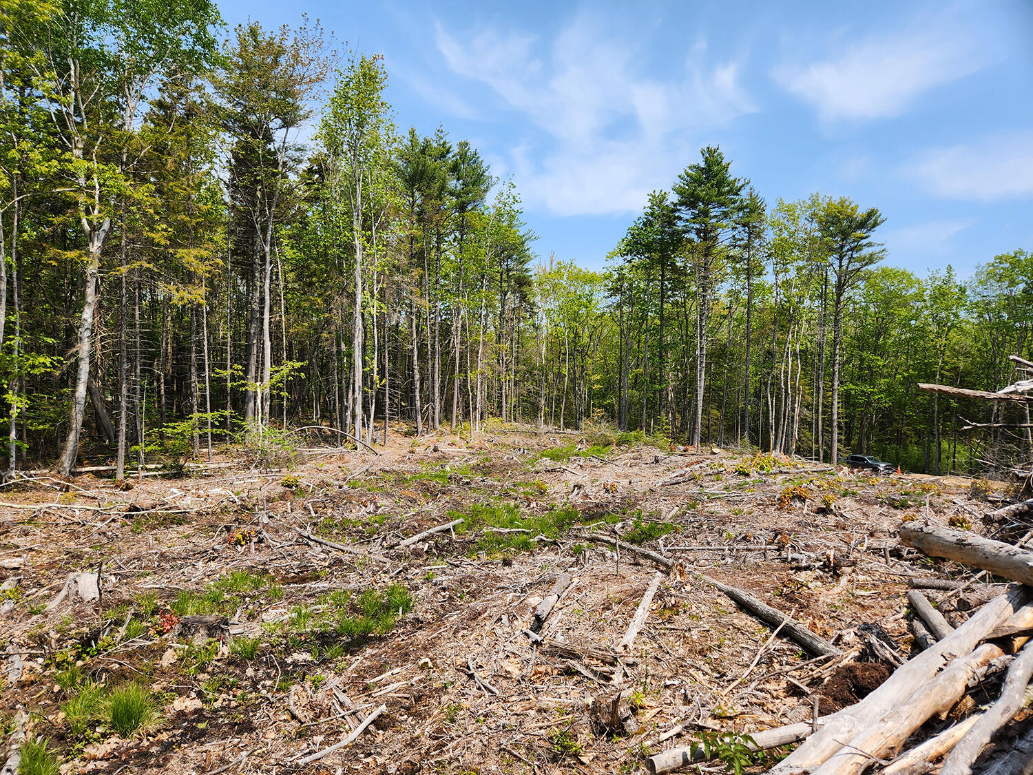 Lot 2 Woodland Drive
