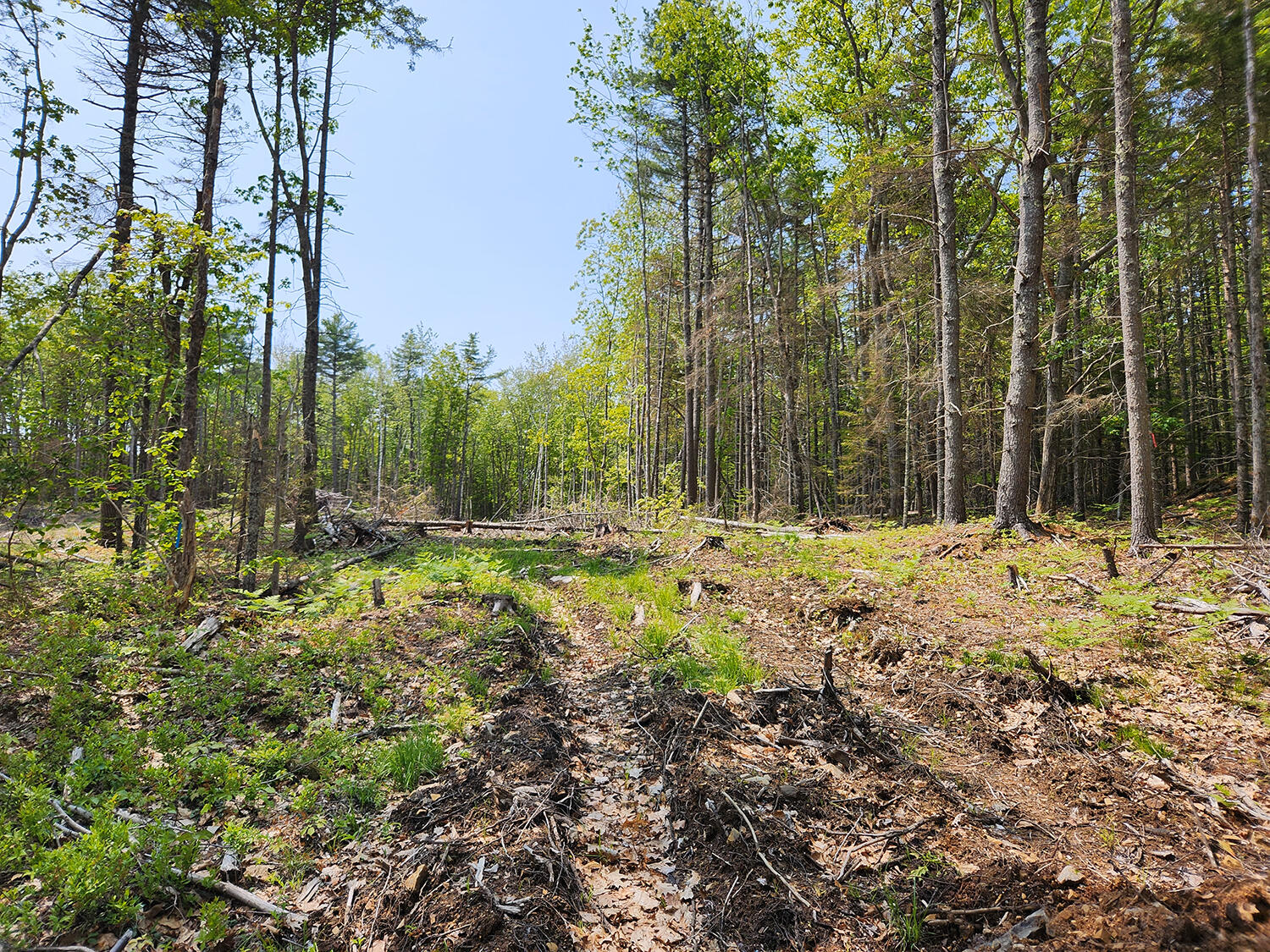 Lot 2 Woodland Drive