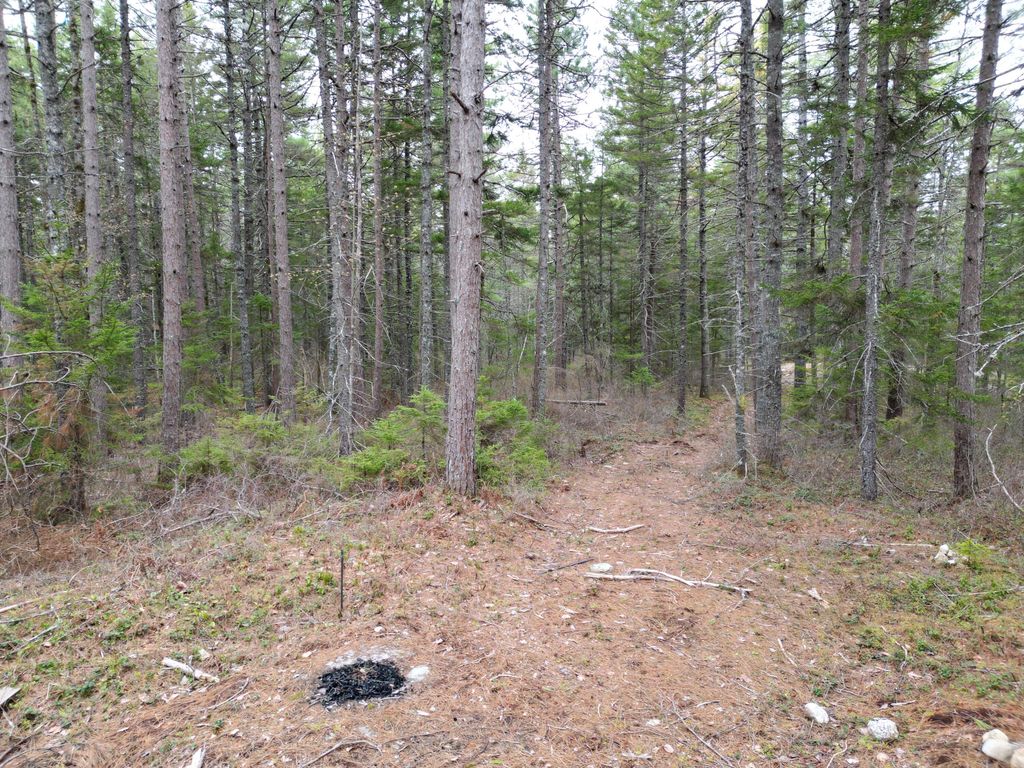 Photo of 1323 Deer Haven, Wesley, ME 04686 (MLS # 1662962)