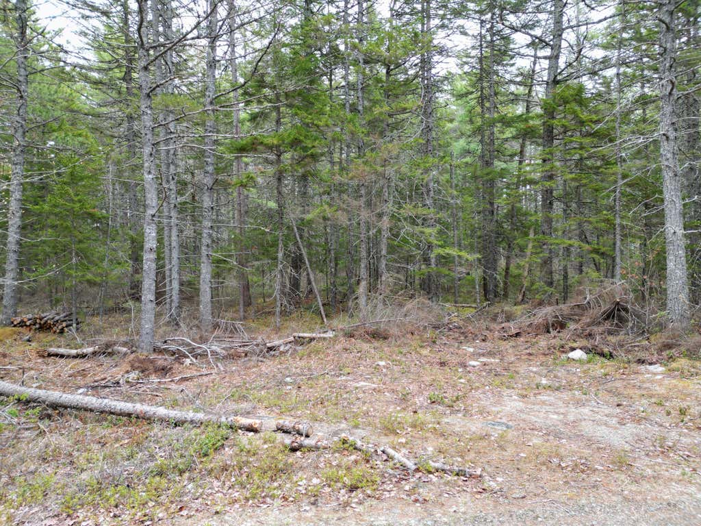 Photo of 1323 Deer Haven, Wesley, ME 04686 (MLS # 1662962)