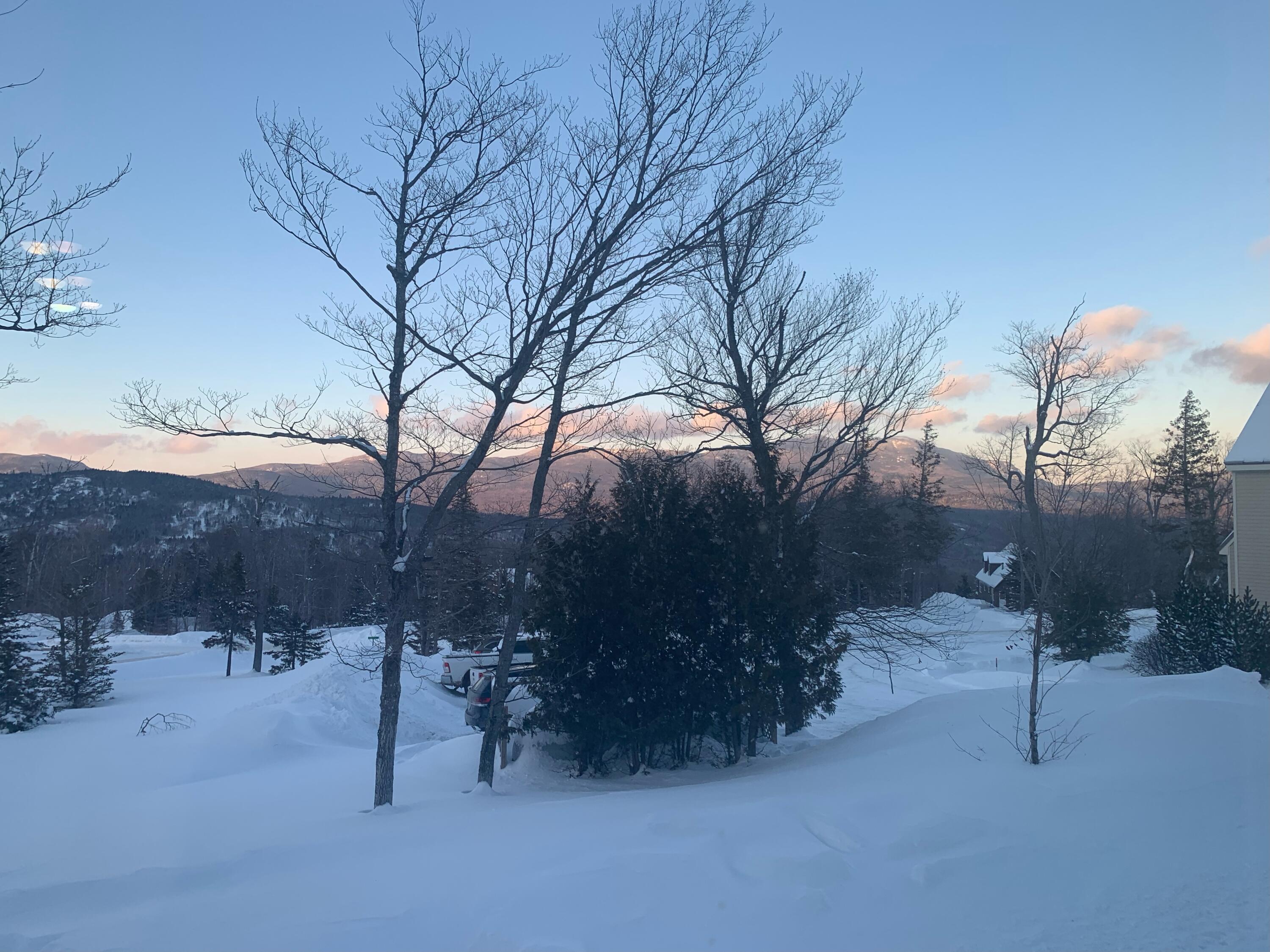 6011 Penobscot Circle 11