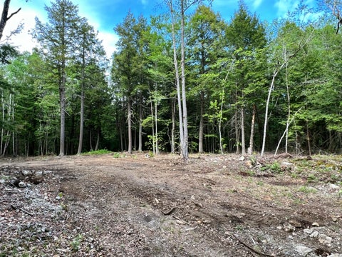 Photo of 139A Pratt Road, Bowdoinham, ME 04008 (MLS # 1665293)