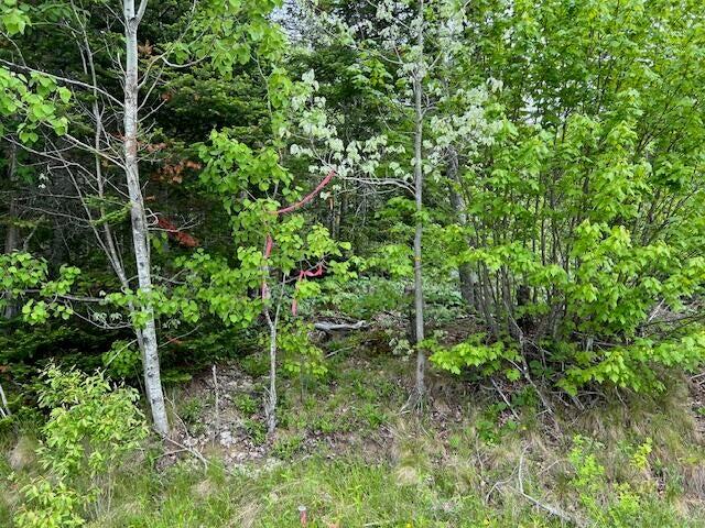 Lot 29-001 Fifth Avenue