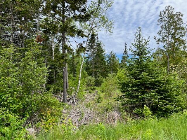 Lot 29-001 Fifth Avenue