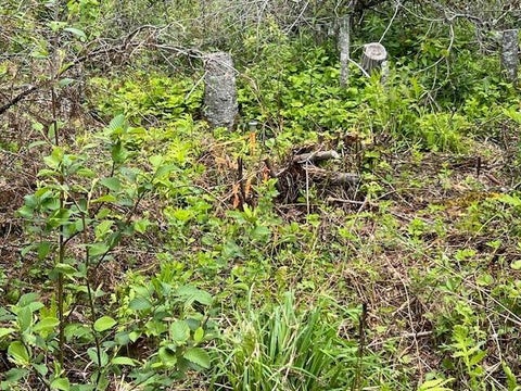 Photo of Lot 29-001 Fifth Avenue, Pembroke, ME 04666 (MLS # 1668655)