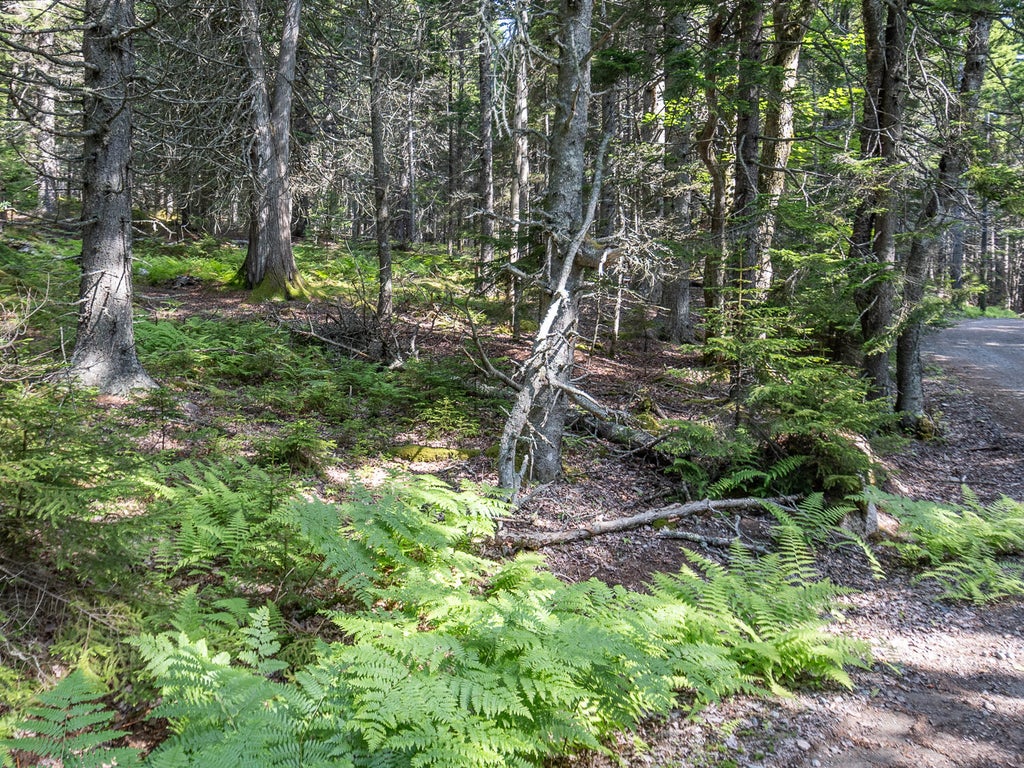 Photo of 10 Island Retreat Road, Swans Island, ME 04685 (MLS # 1669701)