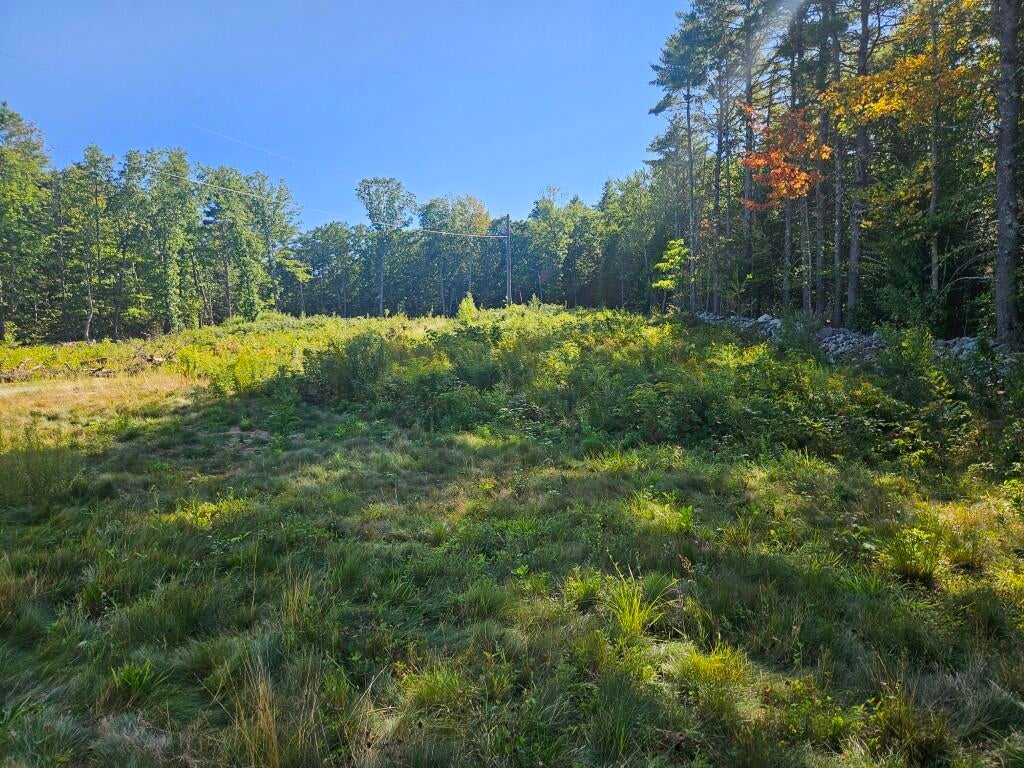 708 Webbs Mills Road
