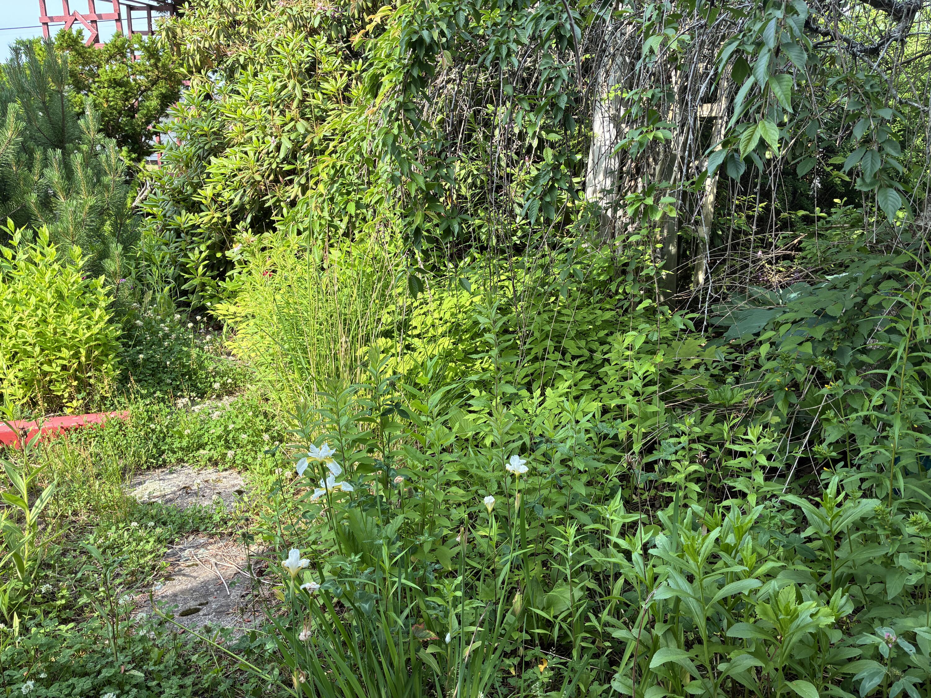 Walkway to front entrance.