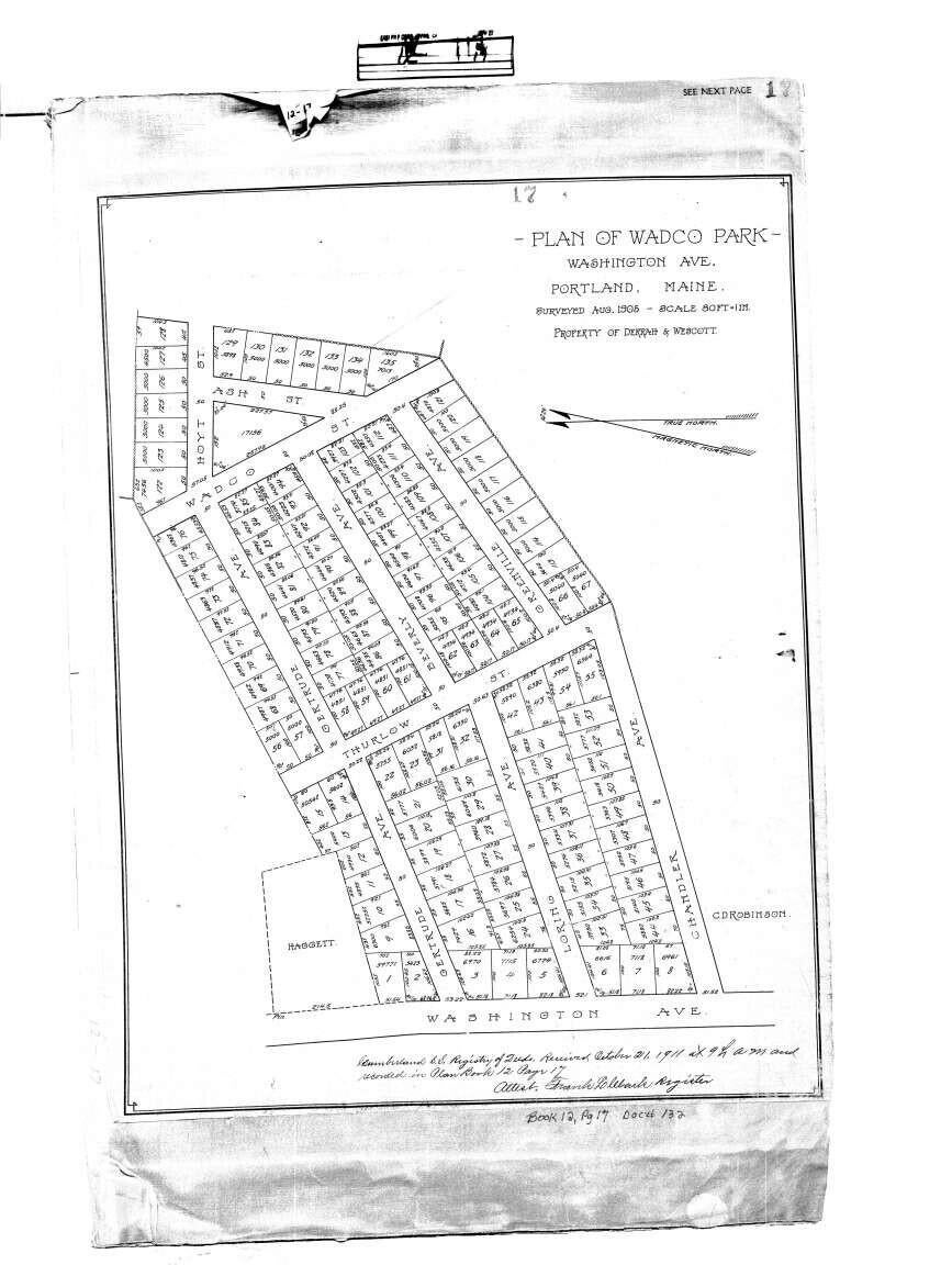81 Gertrude Avenue