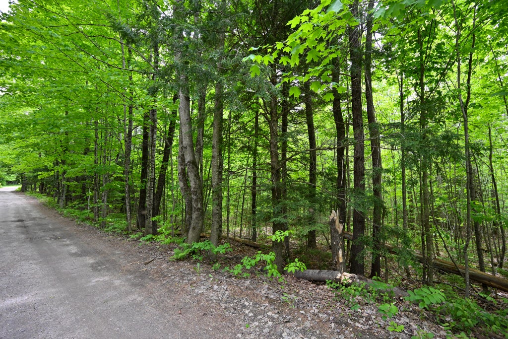 Photo of Lot 16D Old Towle Road, Dixfield, ME 04224 (MLS # 1665156)