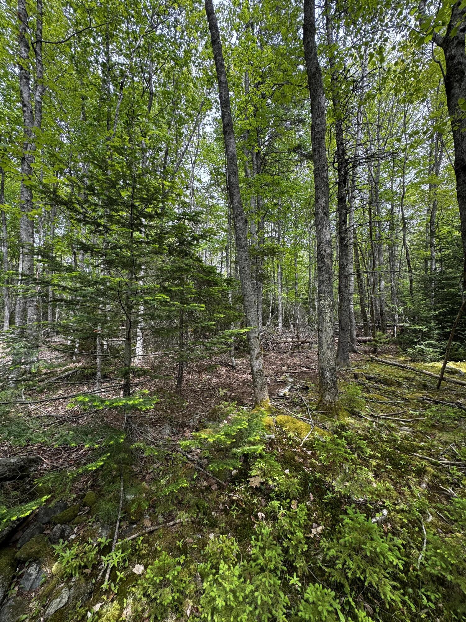 Lot 0 Hadley Point Road