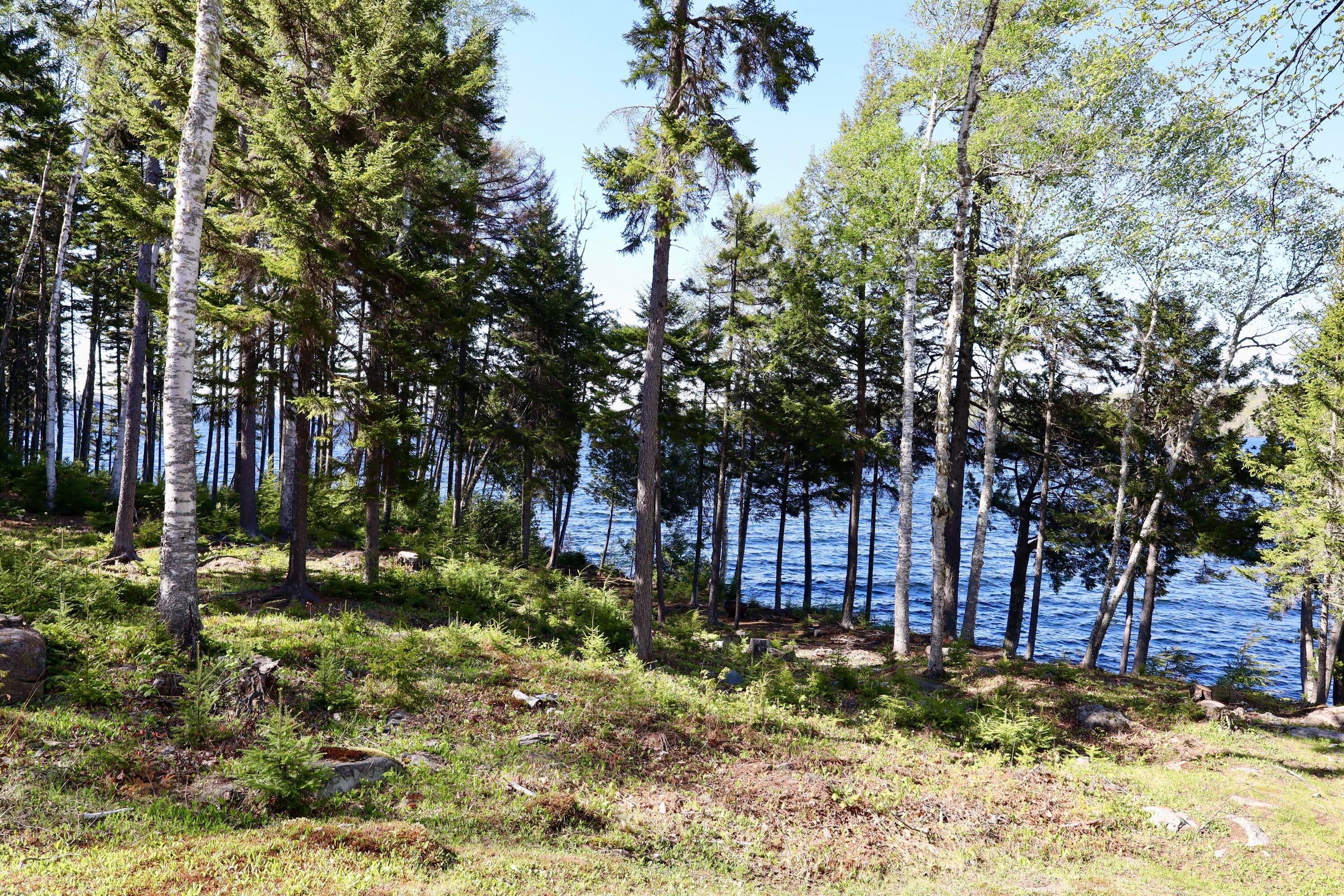 589 Big Moose Point Road