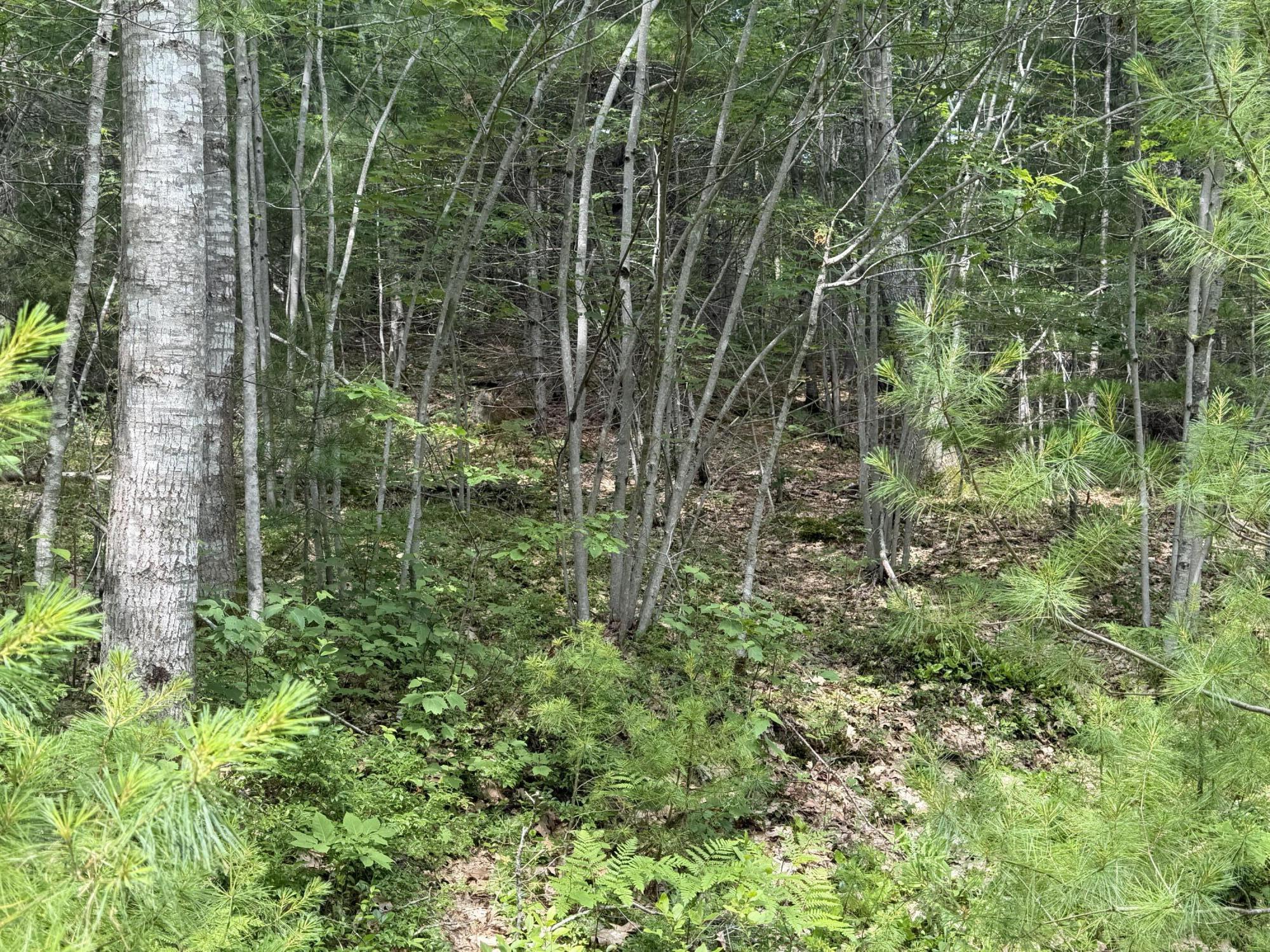 Lot 068011 Shore Road