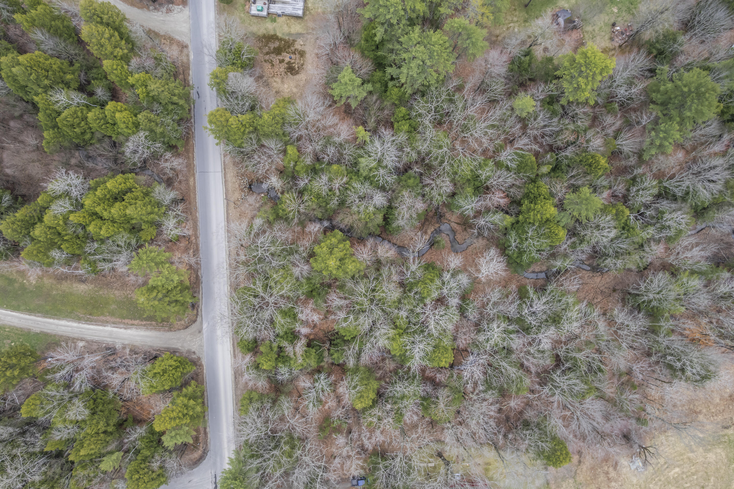 Lot # 1-A Poland Road