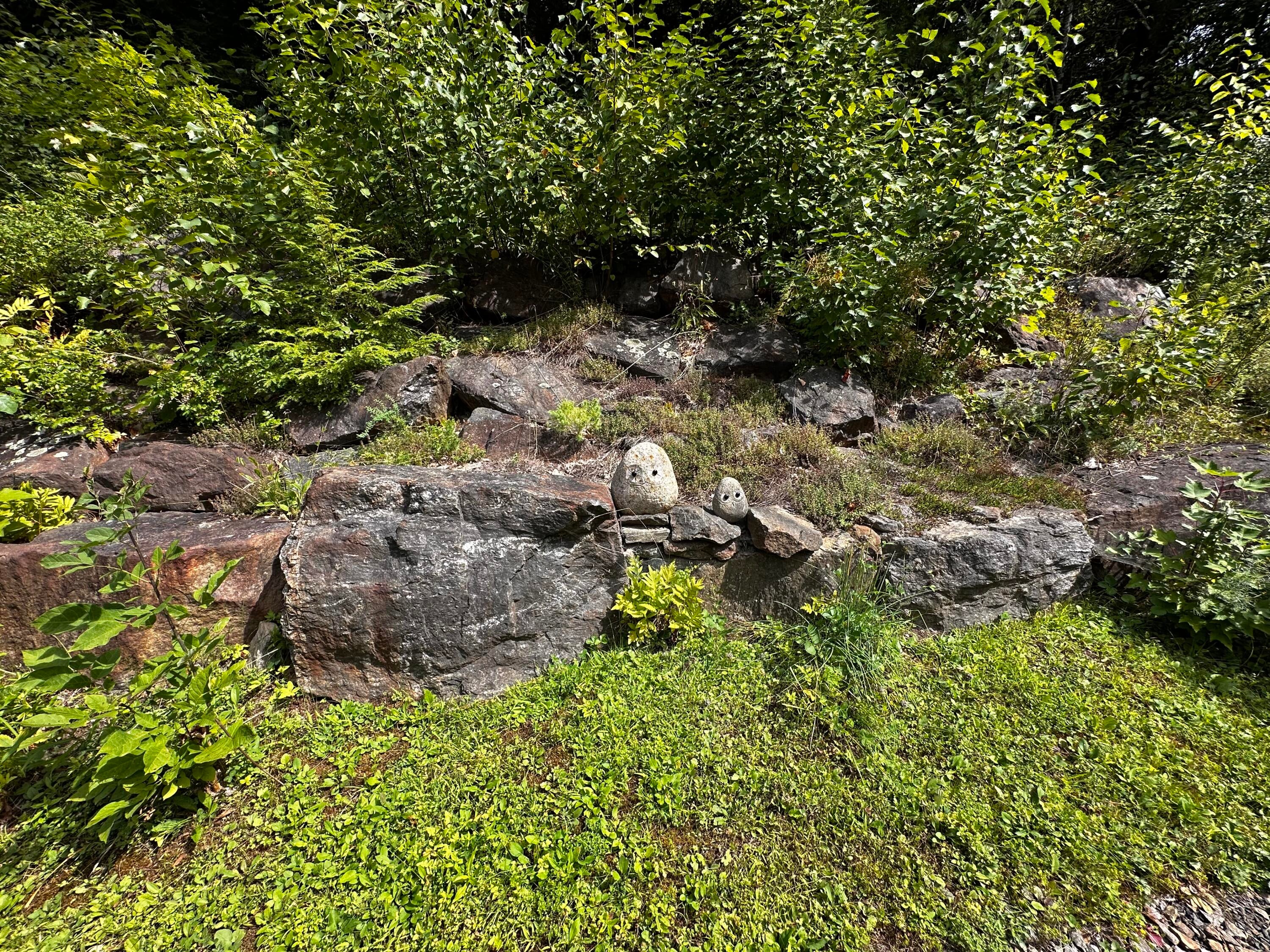 49 Mountainside Park