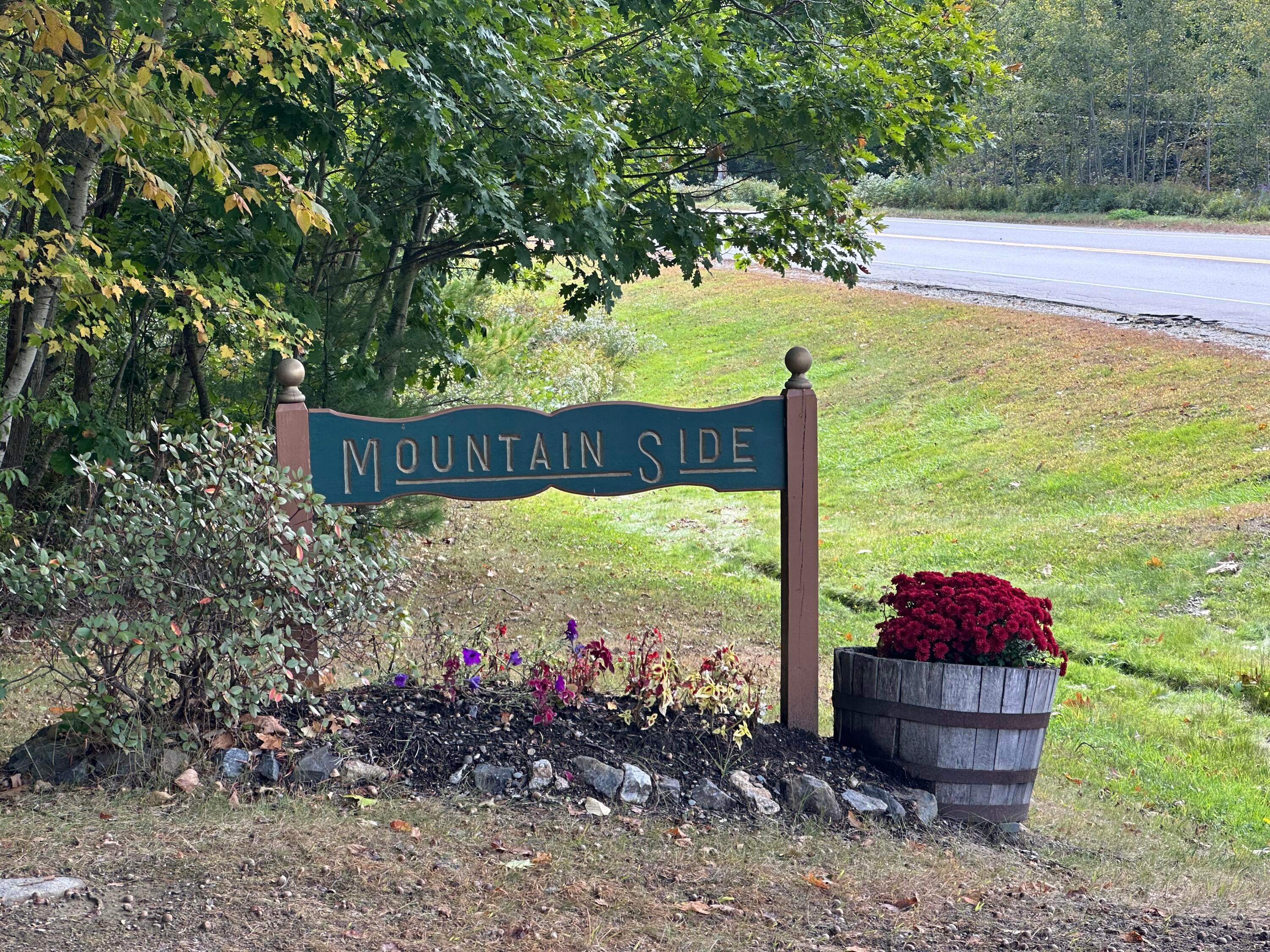 49 Mountainside Park
