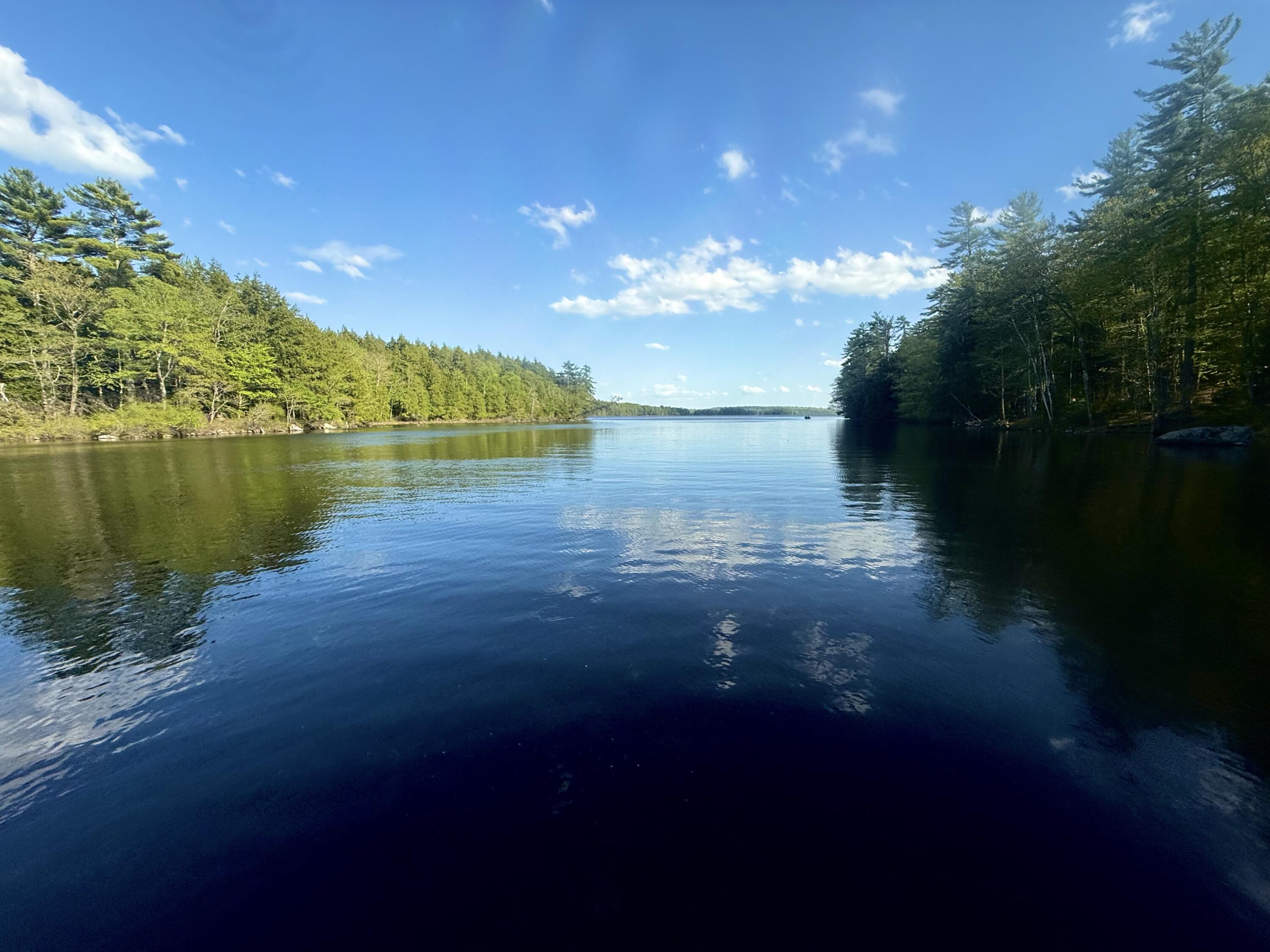 558 Castle Island Road