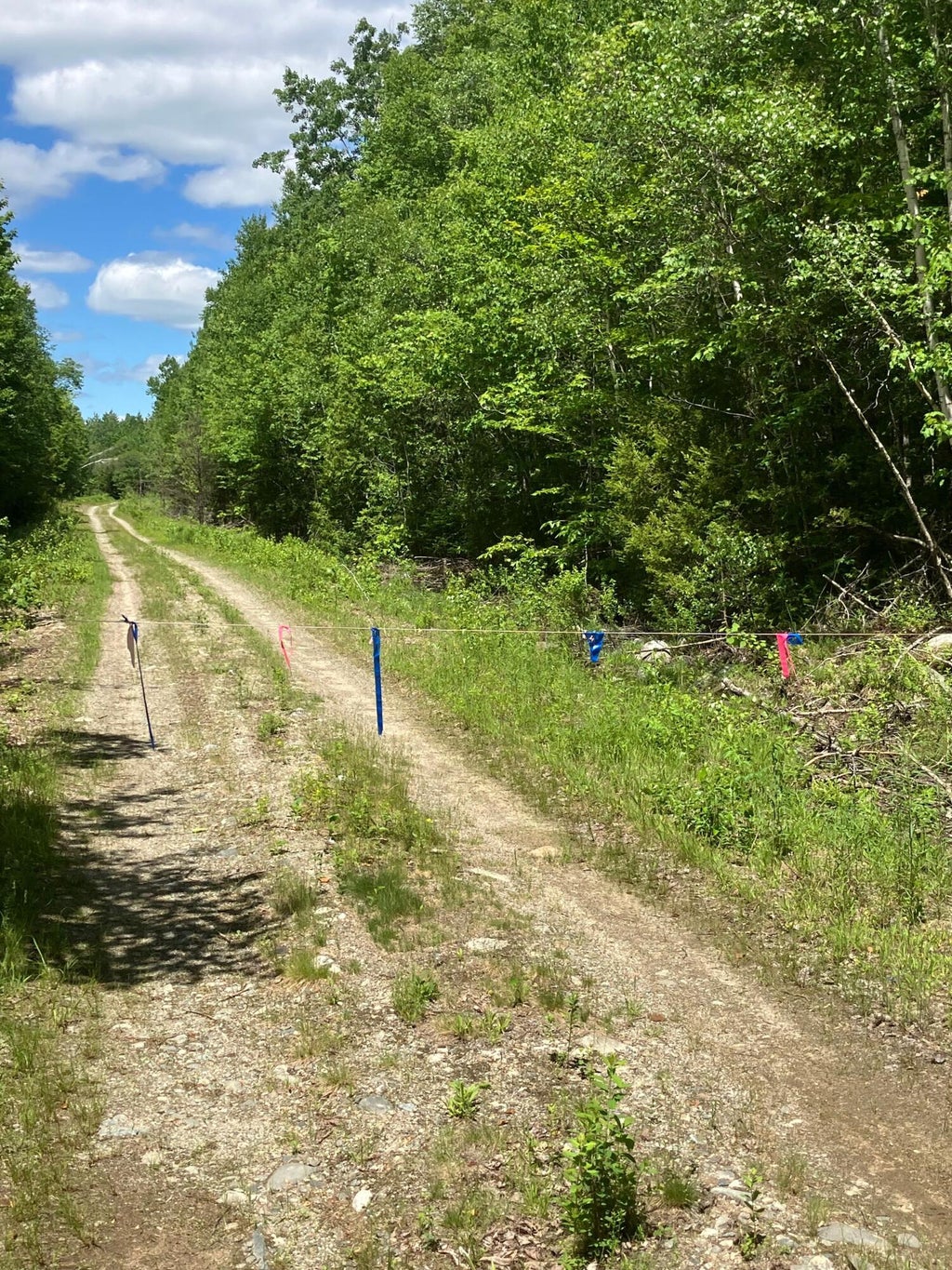 Photo of Off Route 192, Wesley, ME 04686 (MLS # 1667548)